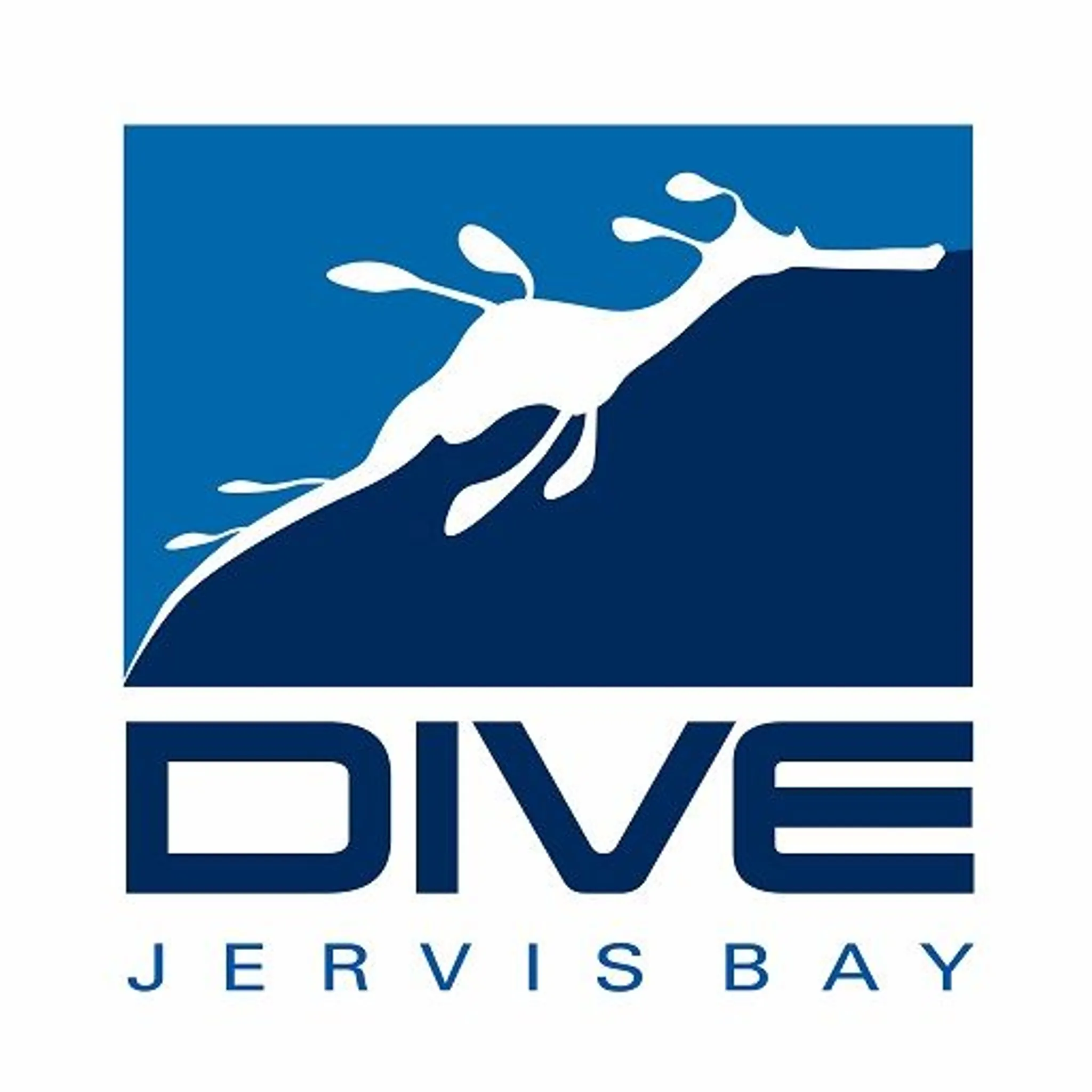 Dive Jervis Bay
