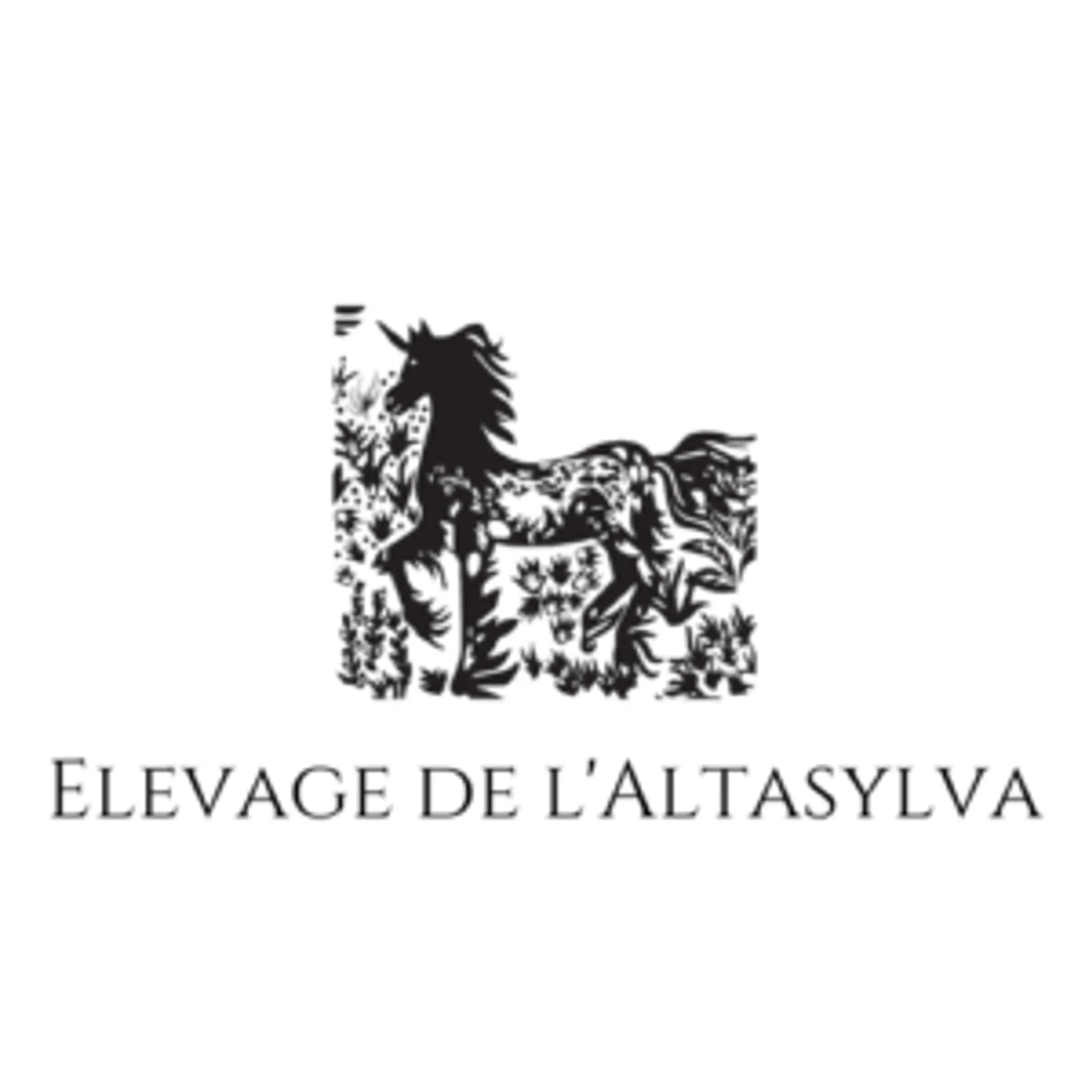 Altasylva