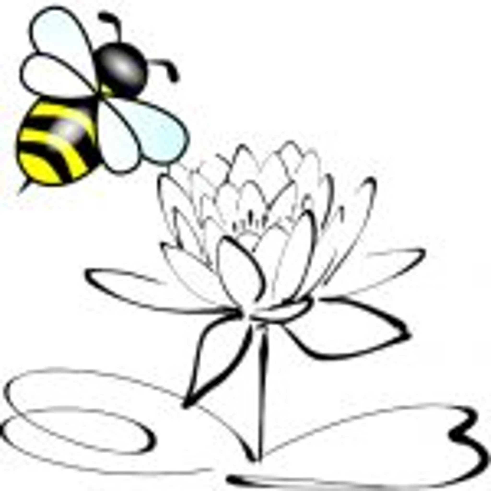 Blockhouse Yoga and Wellness