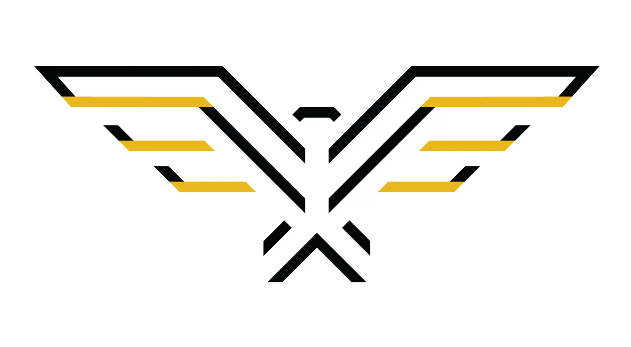 Body Science Transformations