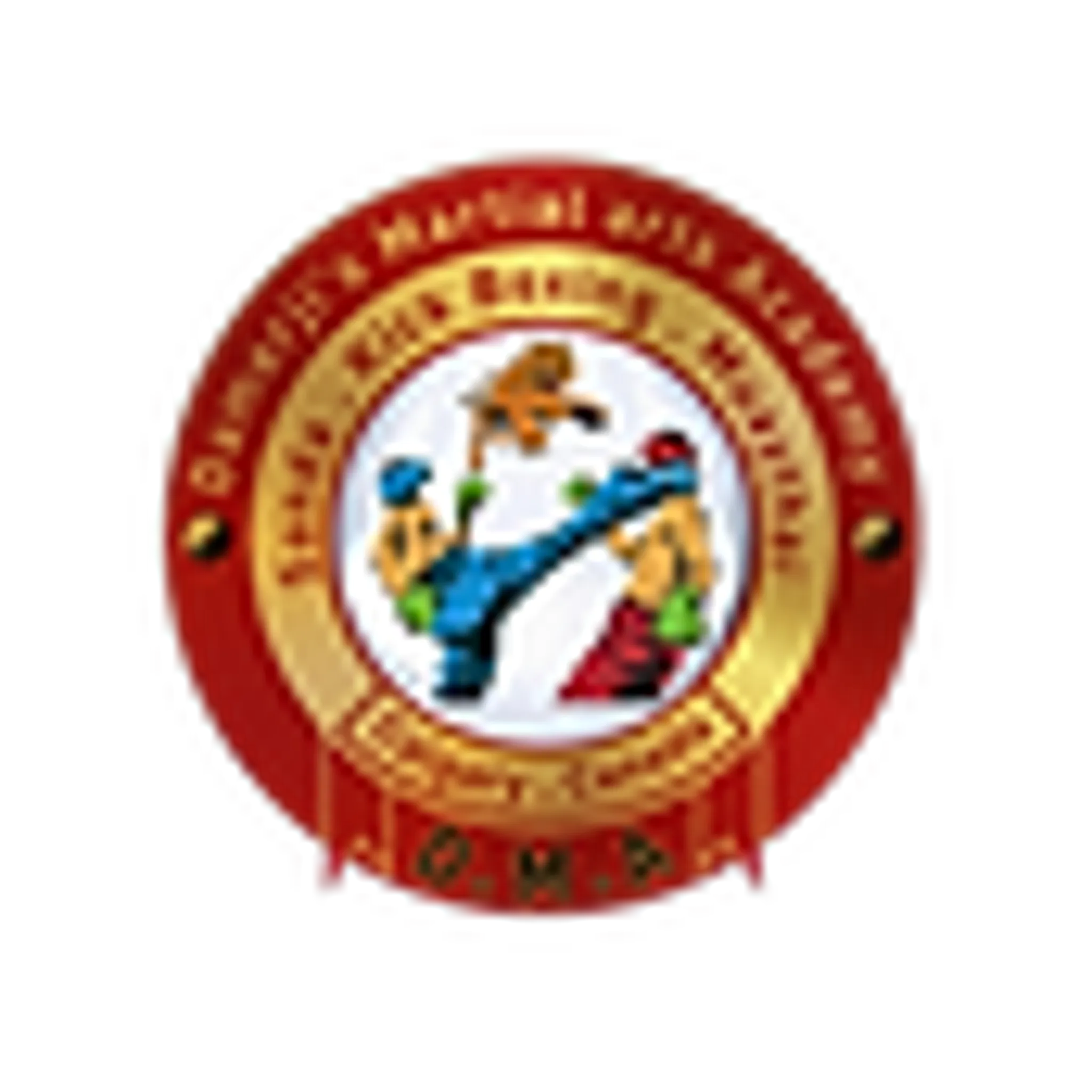 Damerji's Martial Arts Academy