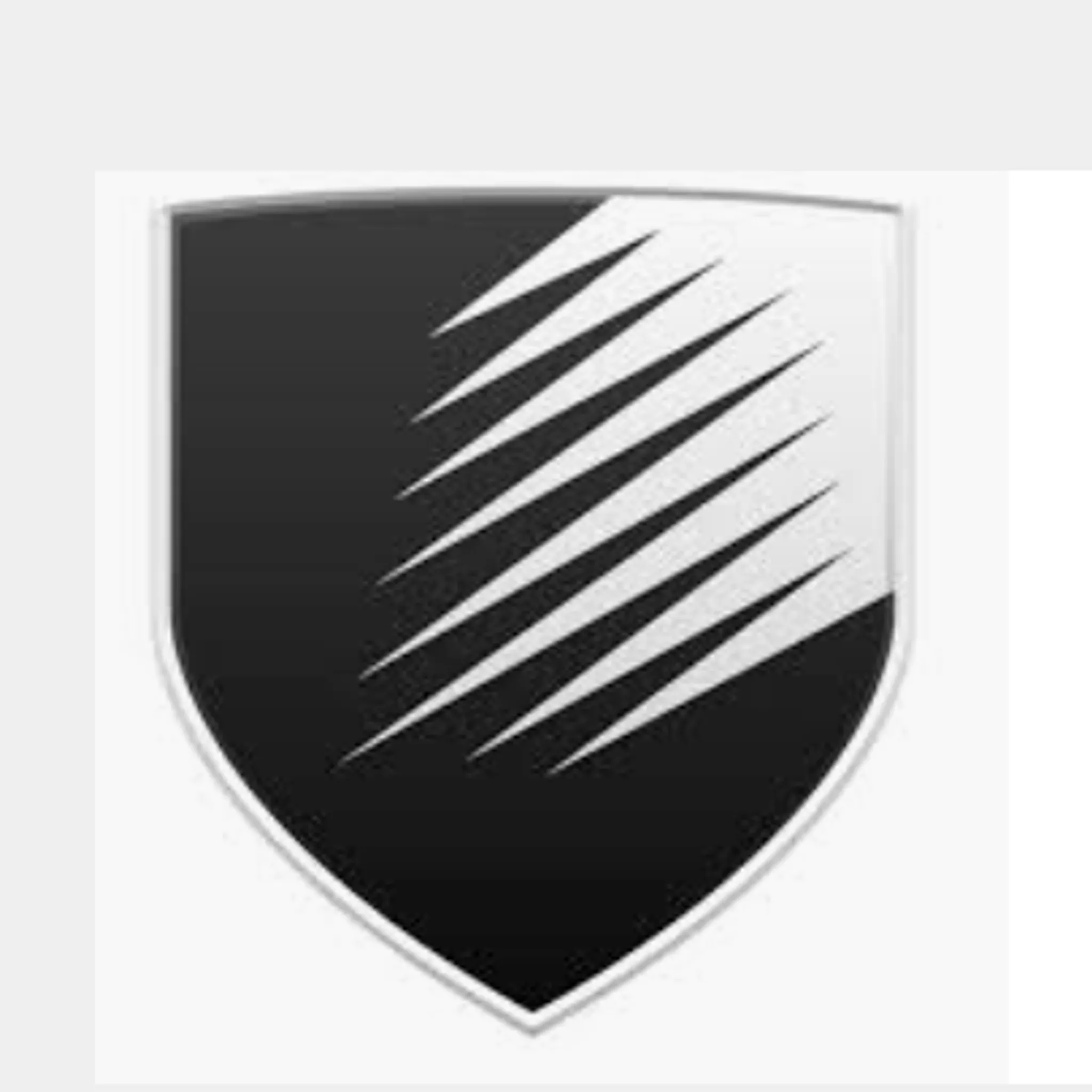 Denmark Magpies Netball Club