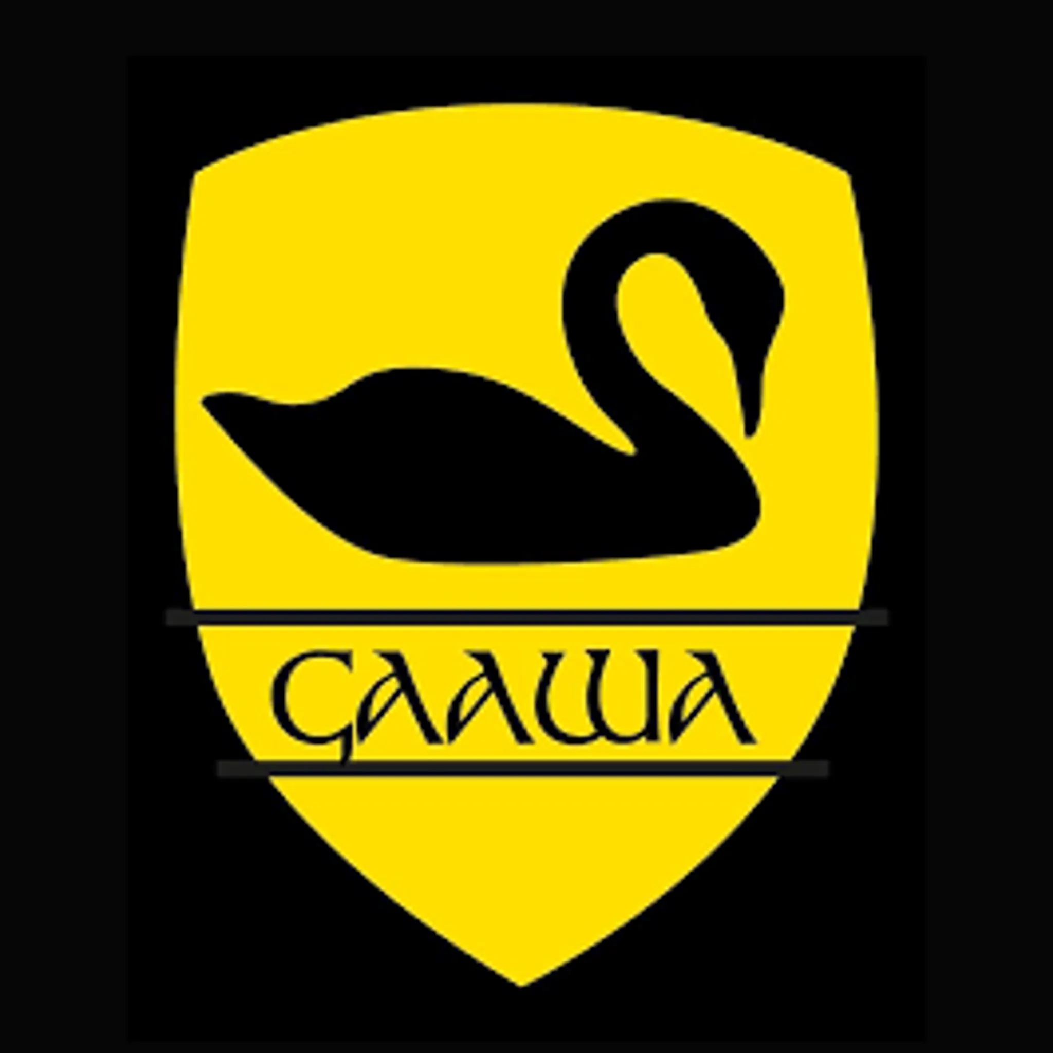 Western Swans Camogie & Hurling