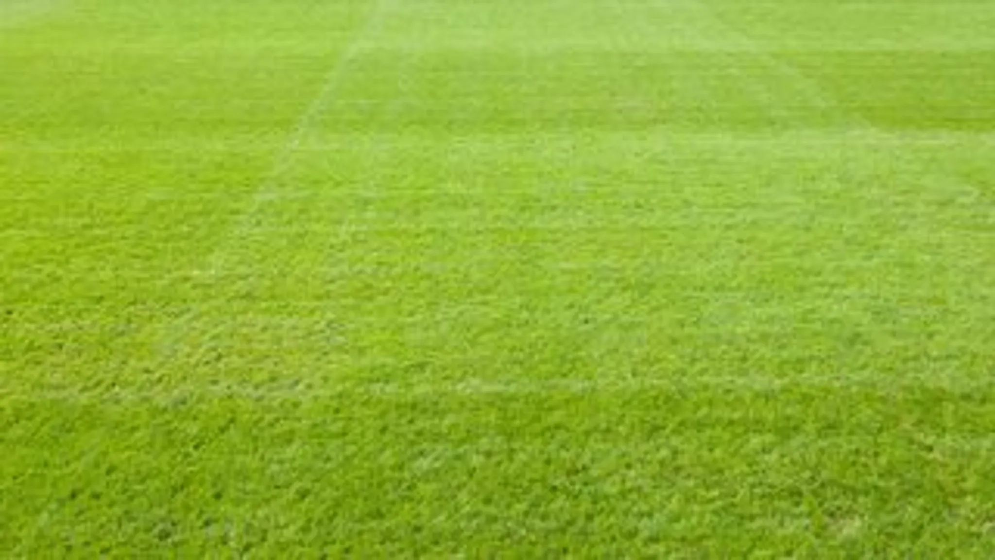 Peterborough Lions Rugby Club