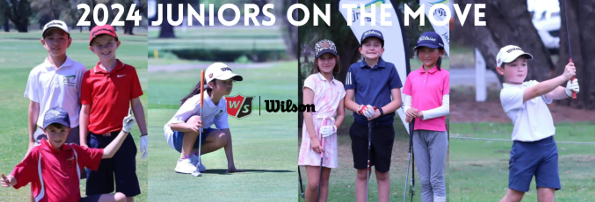 Encourage Shield Sydney Metropolitan