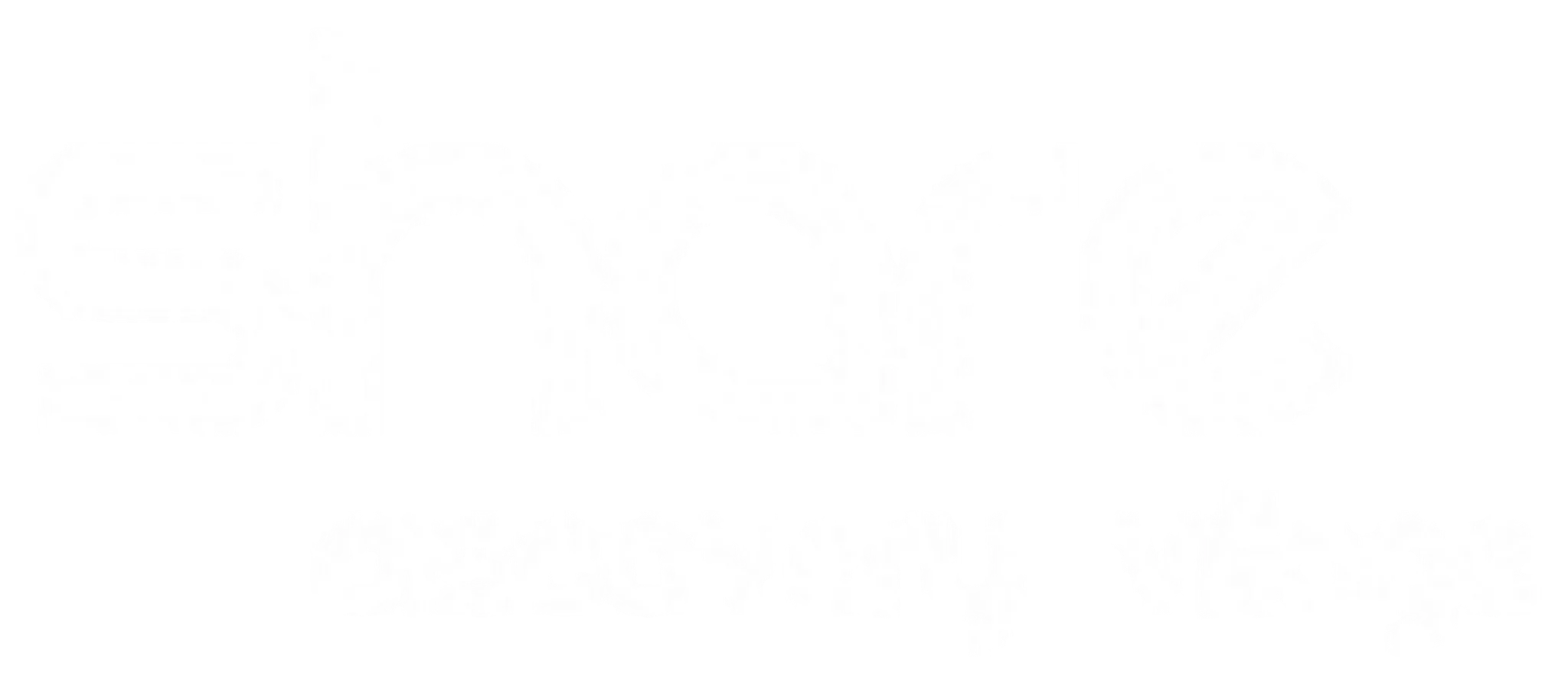 Share Discovery Village