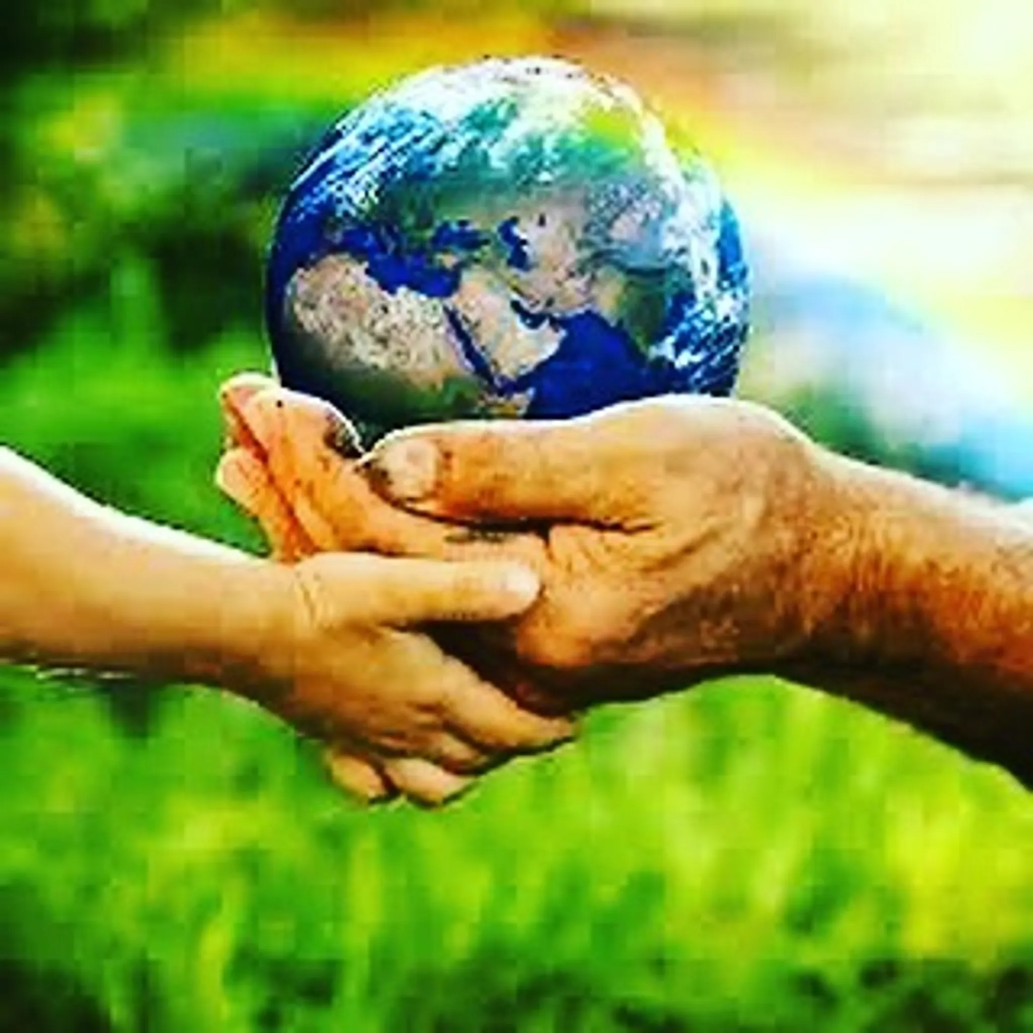 Gibson Kickboxing MMA