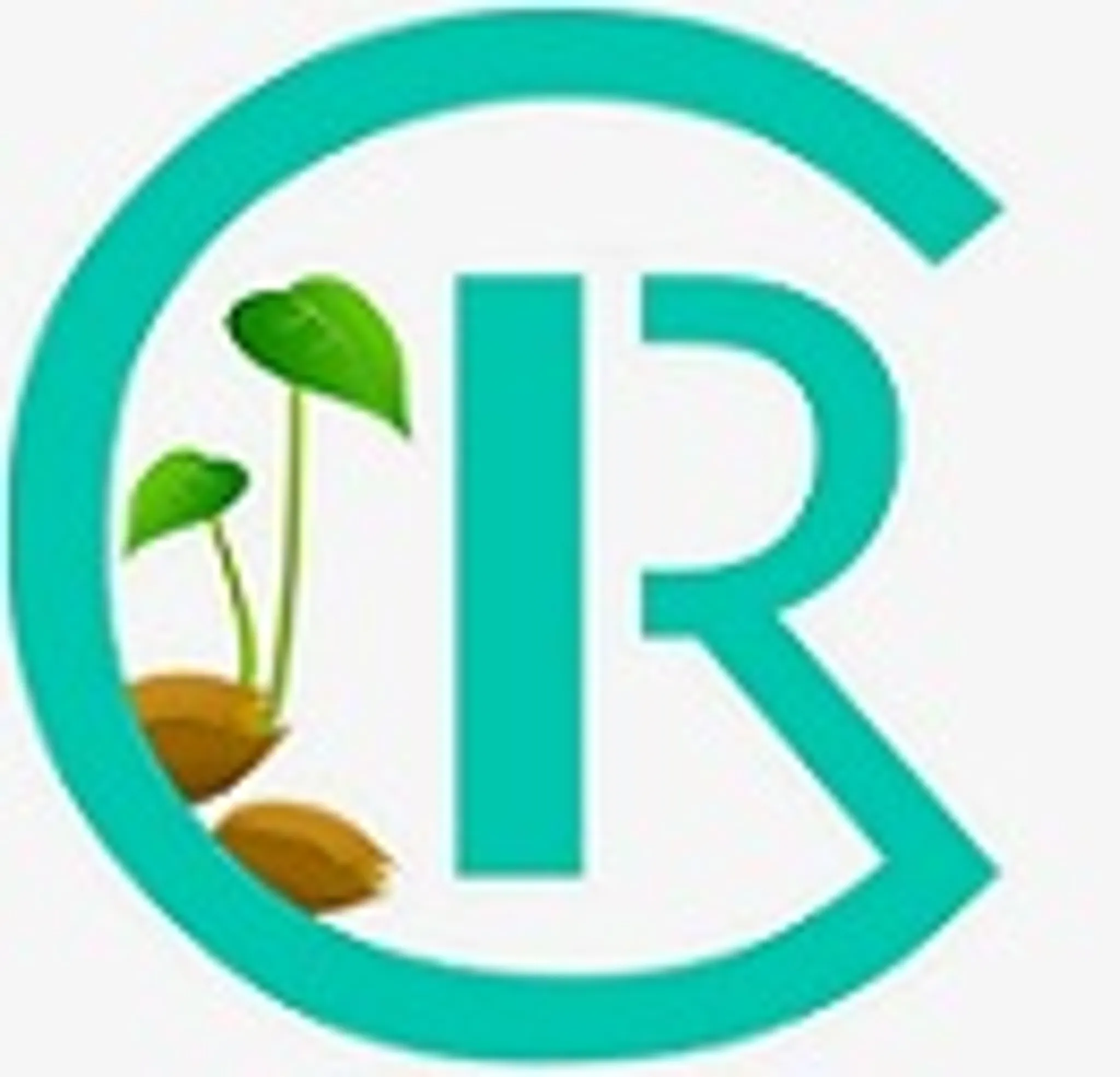 Céline Aujames - Coaching Responsable