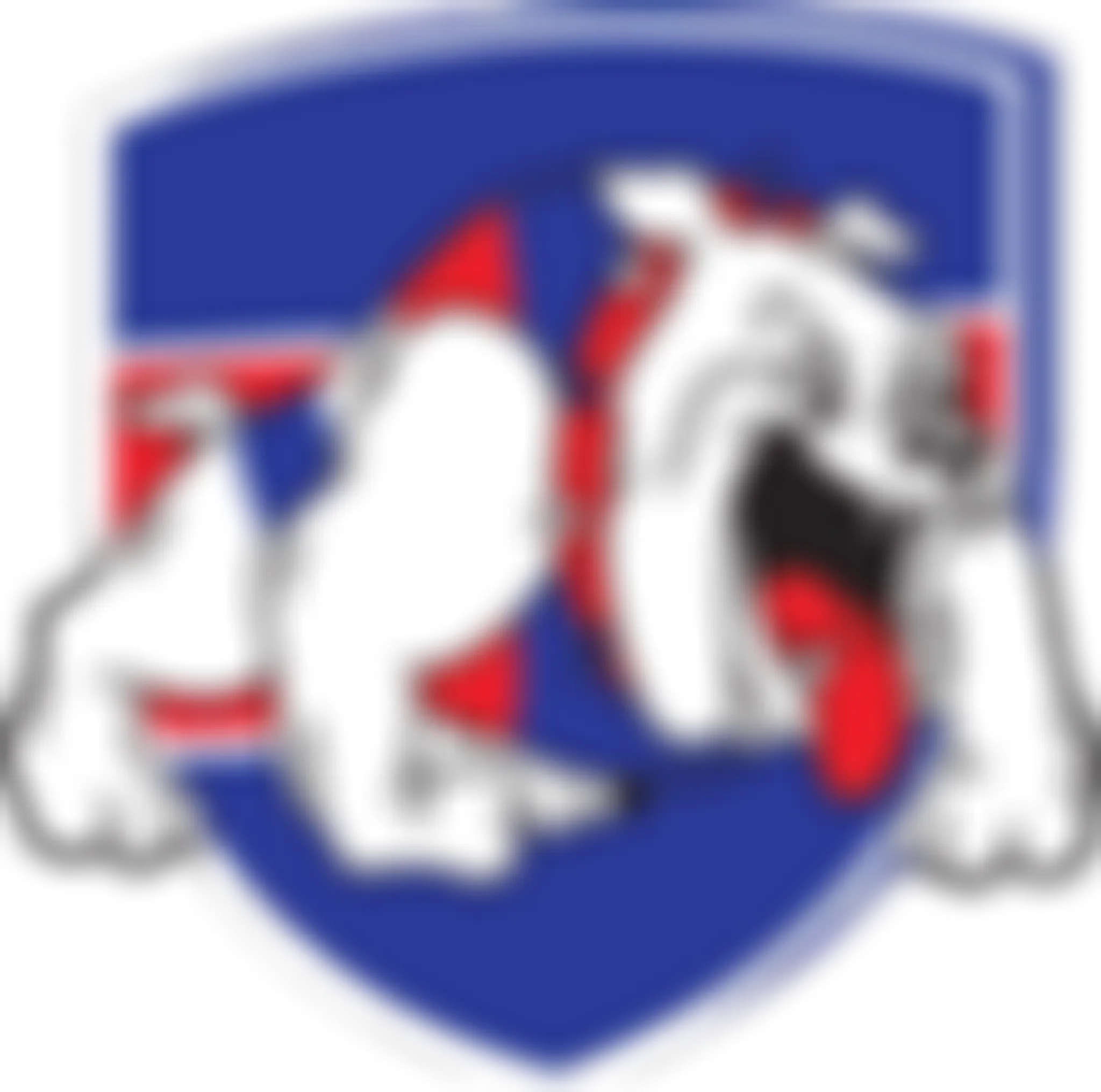 St Paul's McKinnon Junior Football Club