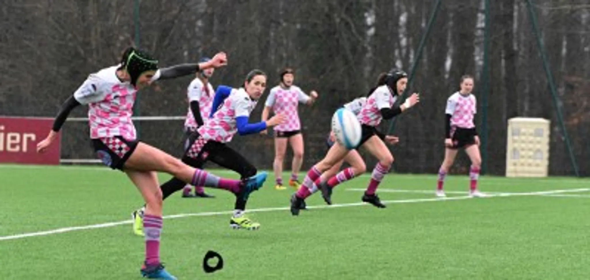 Porc Rugby : Feminin & Masculin