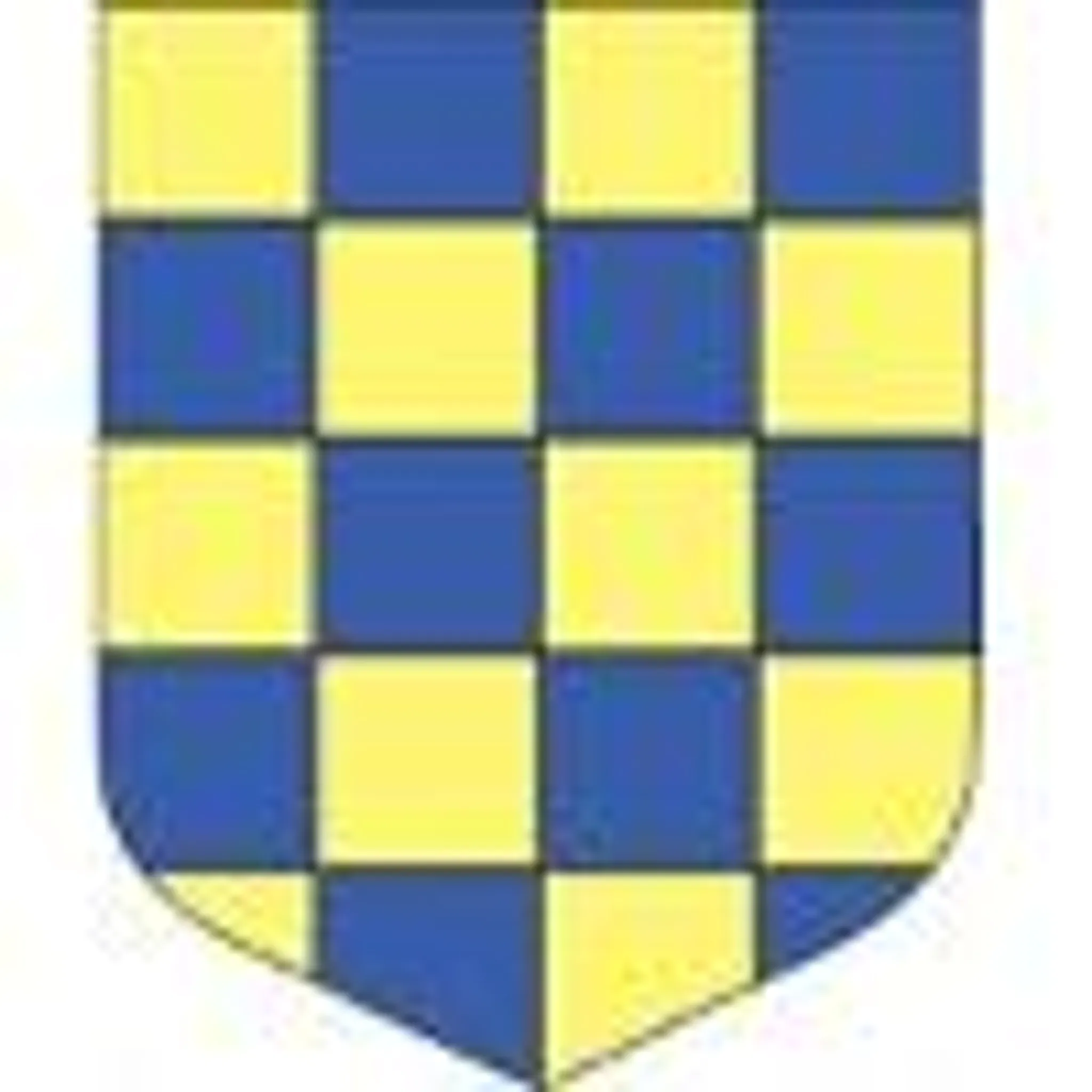 Elmbridge Phoenix Swimming Club