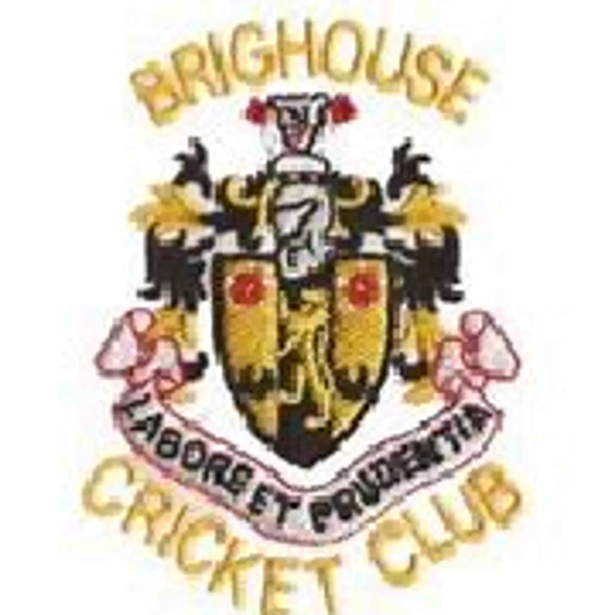 Altofts Cricket Club