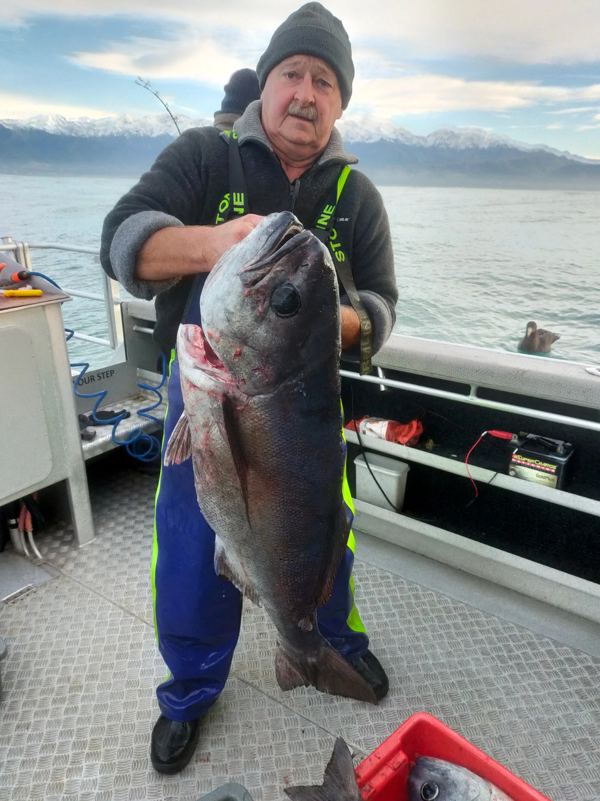 Kaikoura Fishing