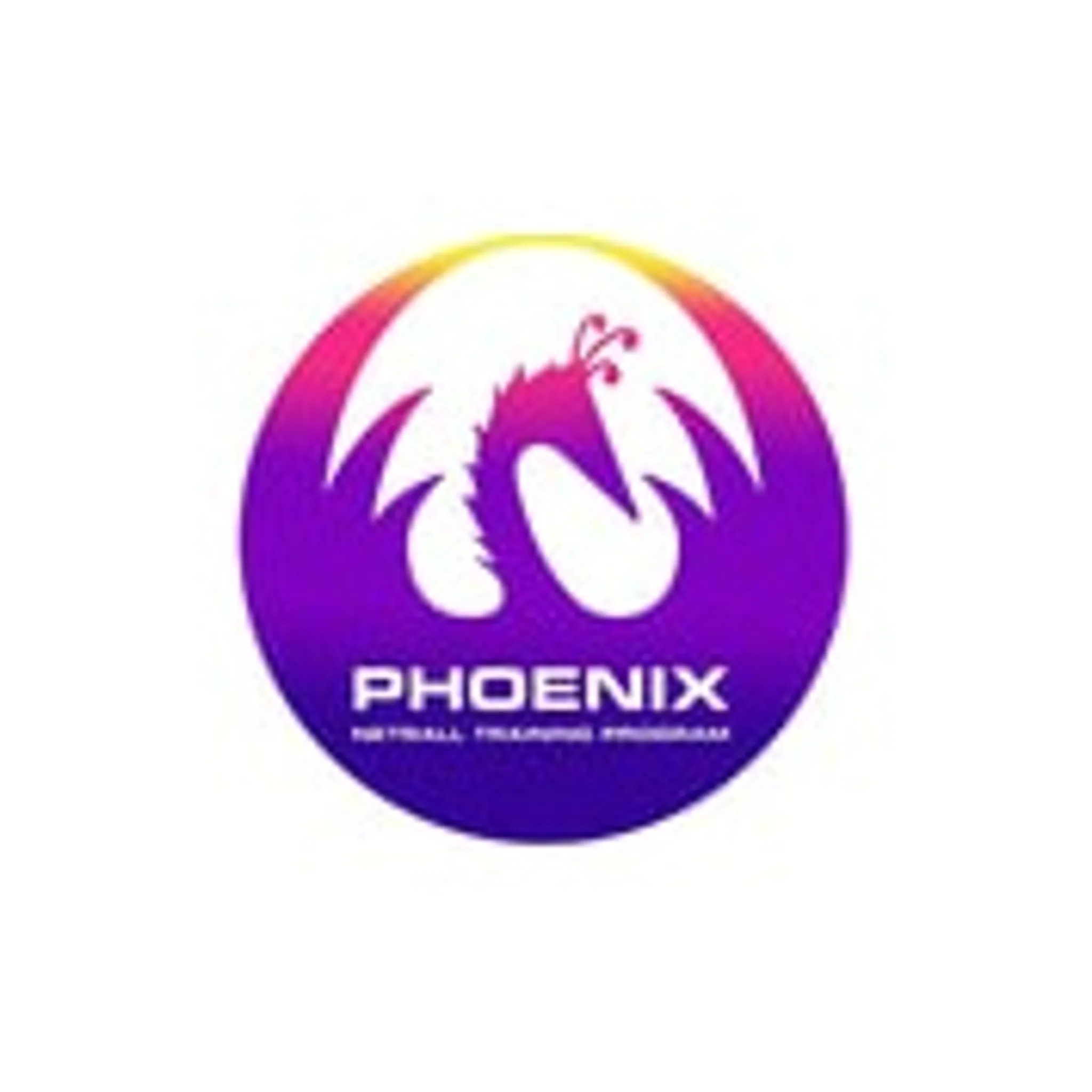 Phoenix Netball Training Program