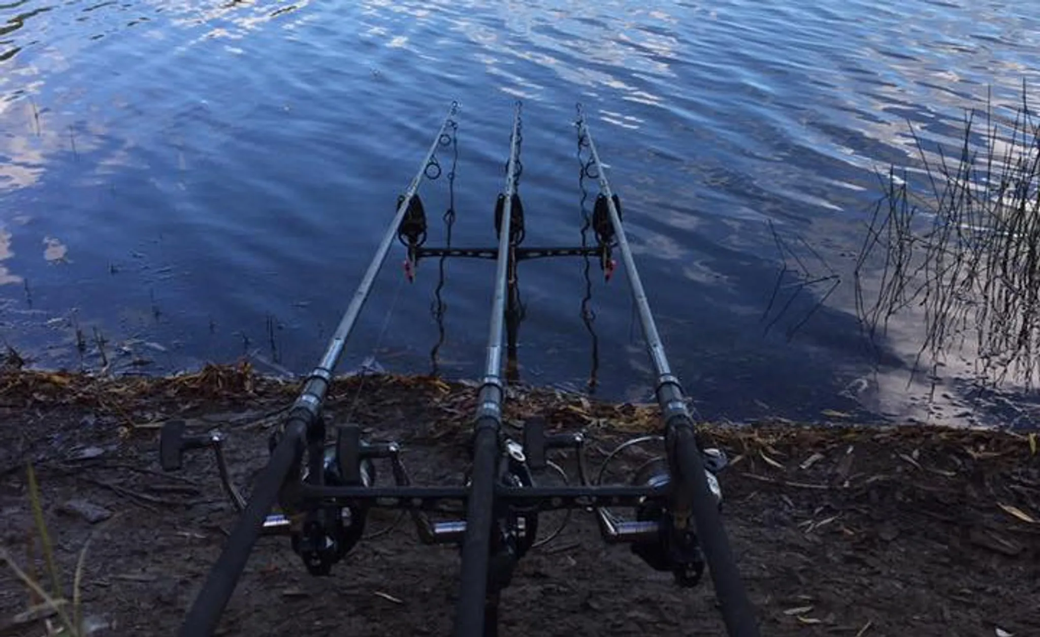 Aspen Lake Fishery (Ashton Keynes)