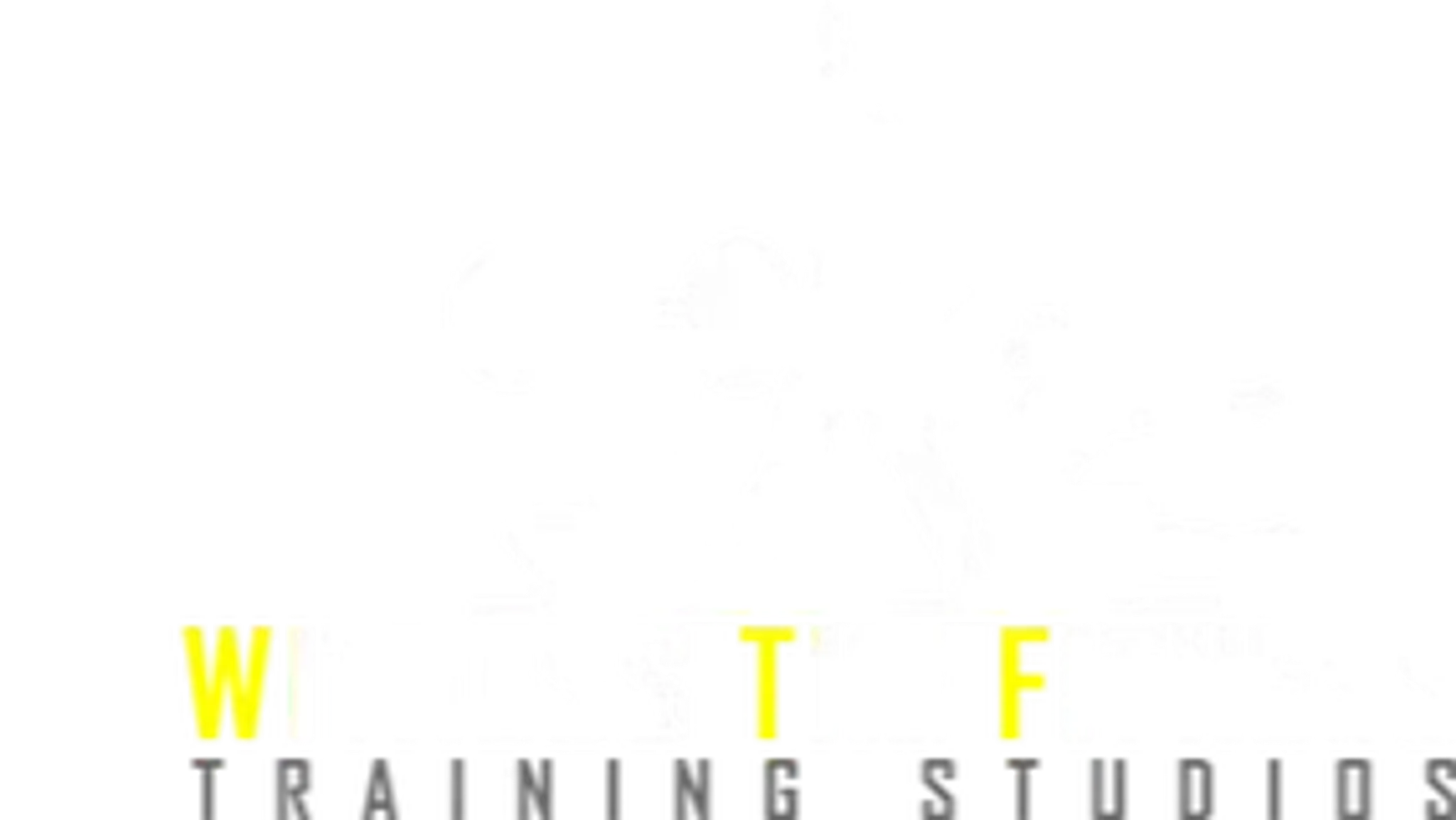 Witness The Fitness Training Studios