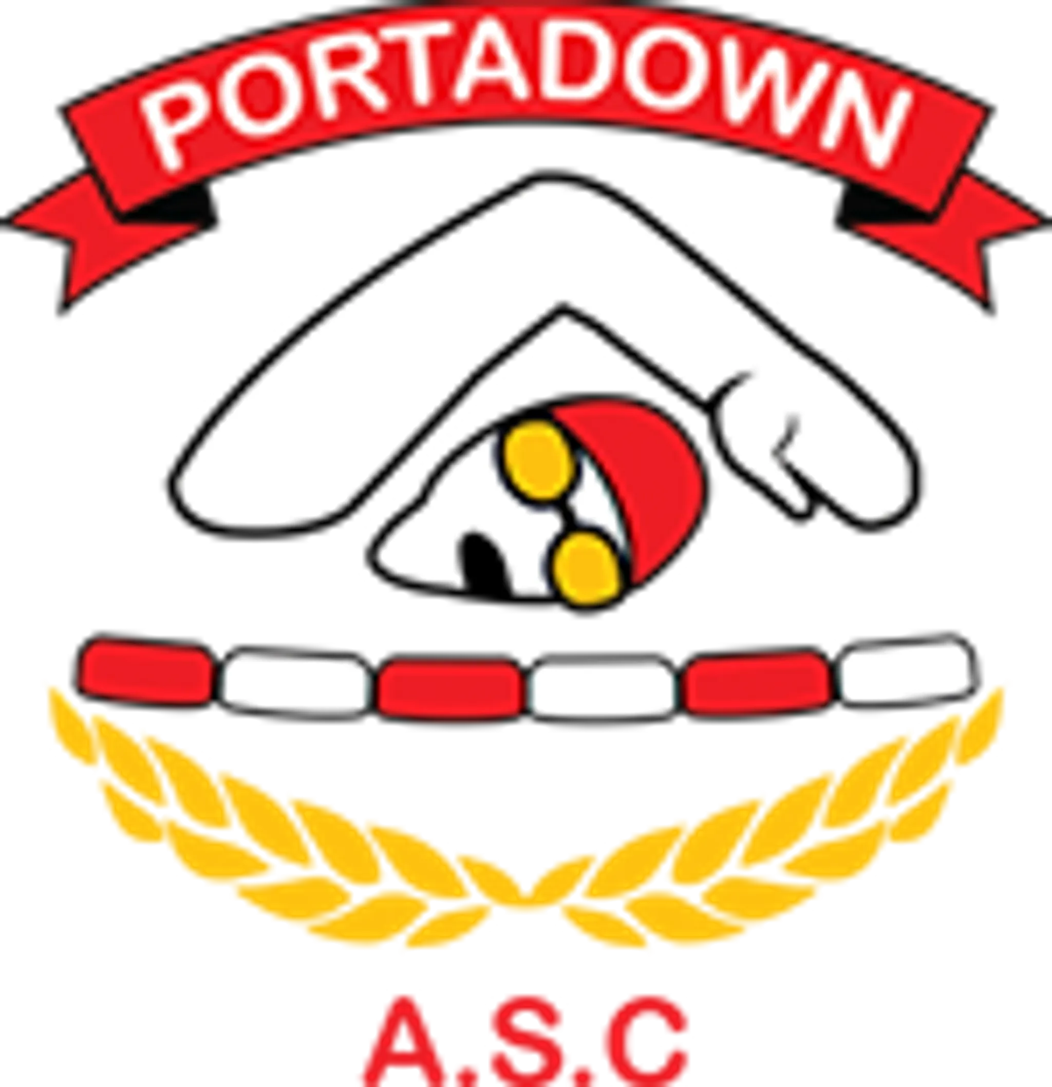 Portadown Amateur Swimming Club