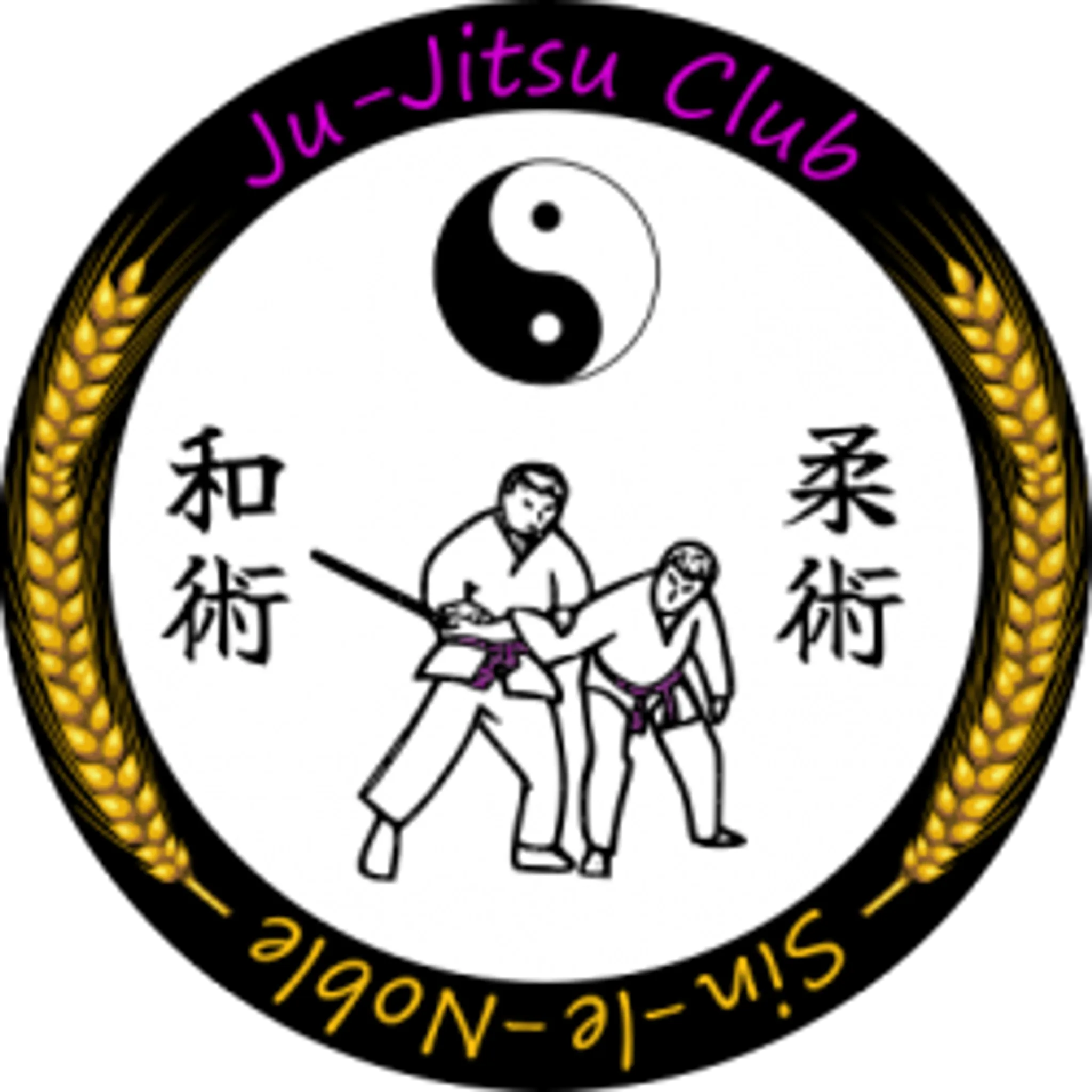 Ju Jitsu Club de Sin-Le-Noble (Lundi)