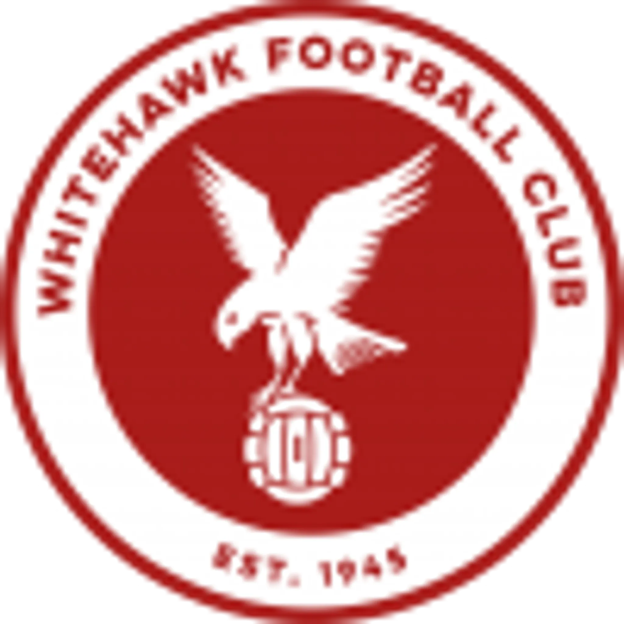Whitehawk FC