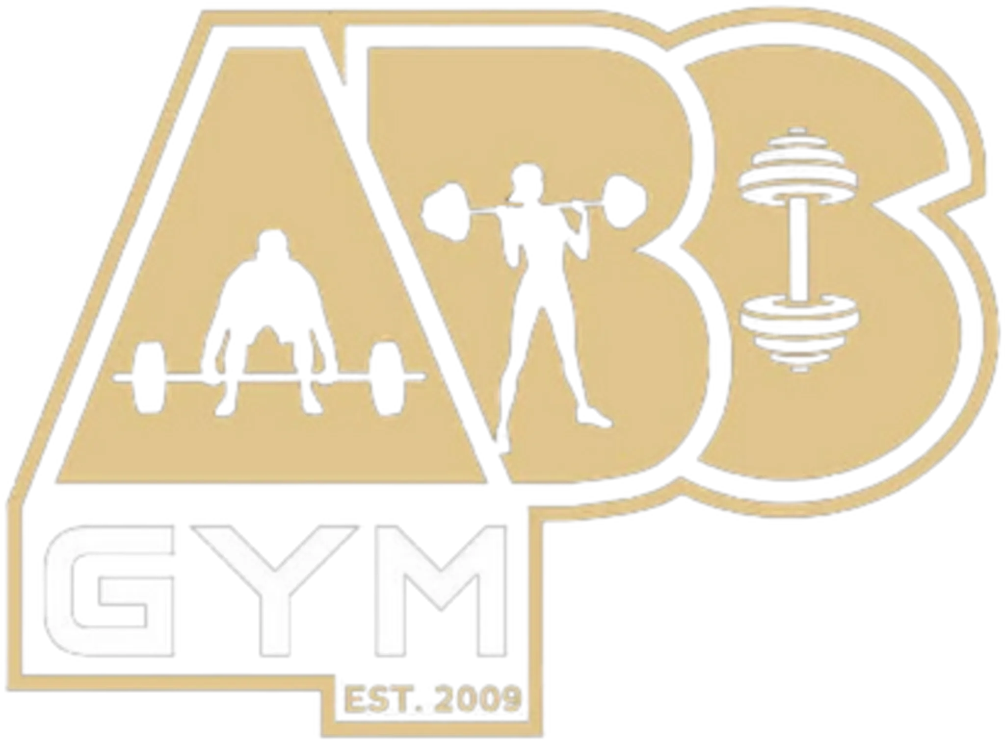 The ABS Gym Charlestown - Personal trainer dublin