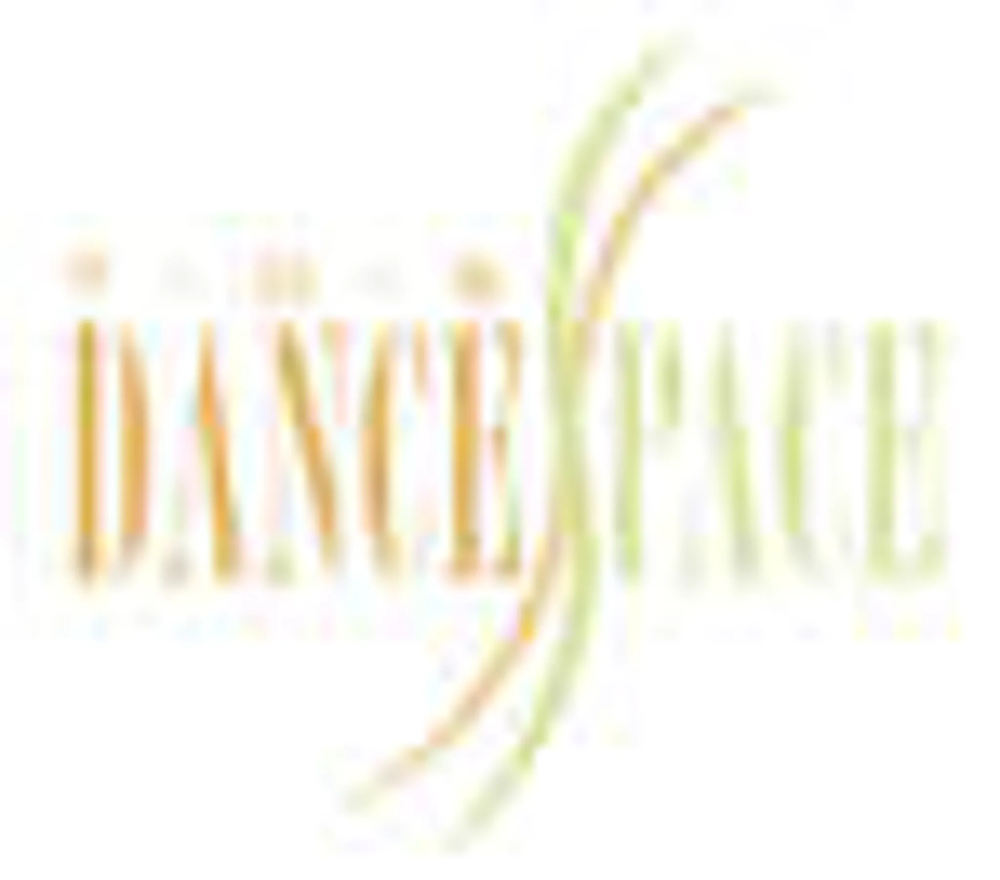 TDS Dance Space