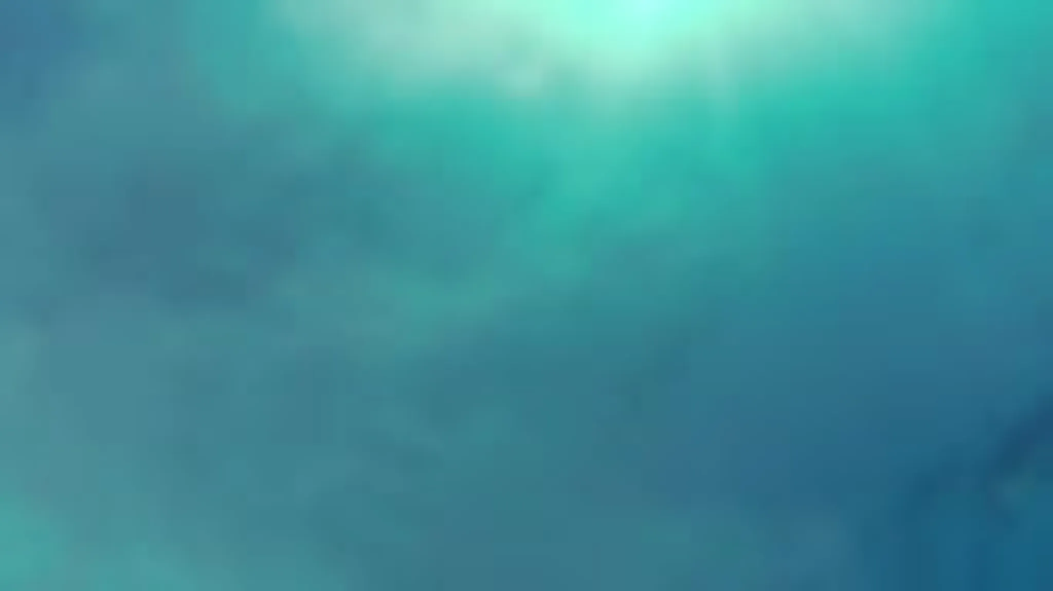 Native American Adventures Guide Service