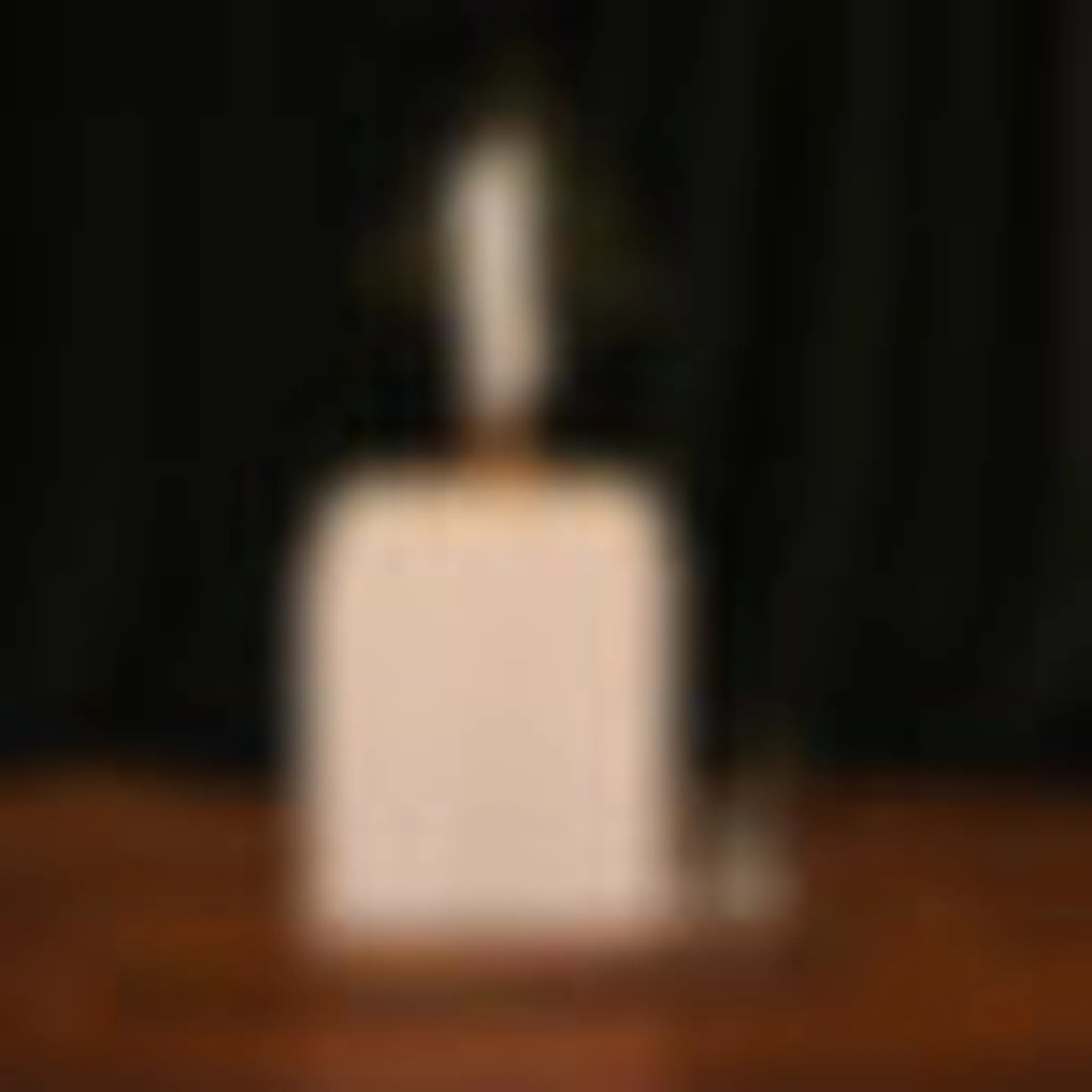 Tetsushinkan Aikido Dojo