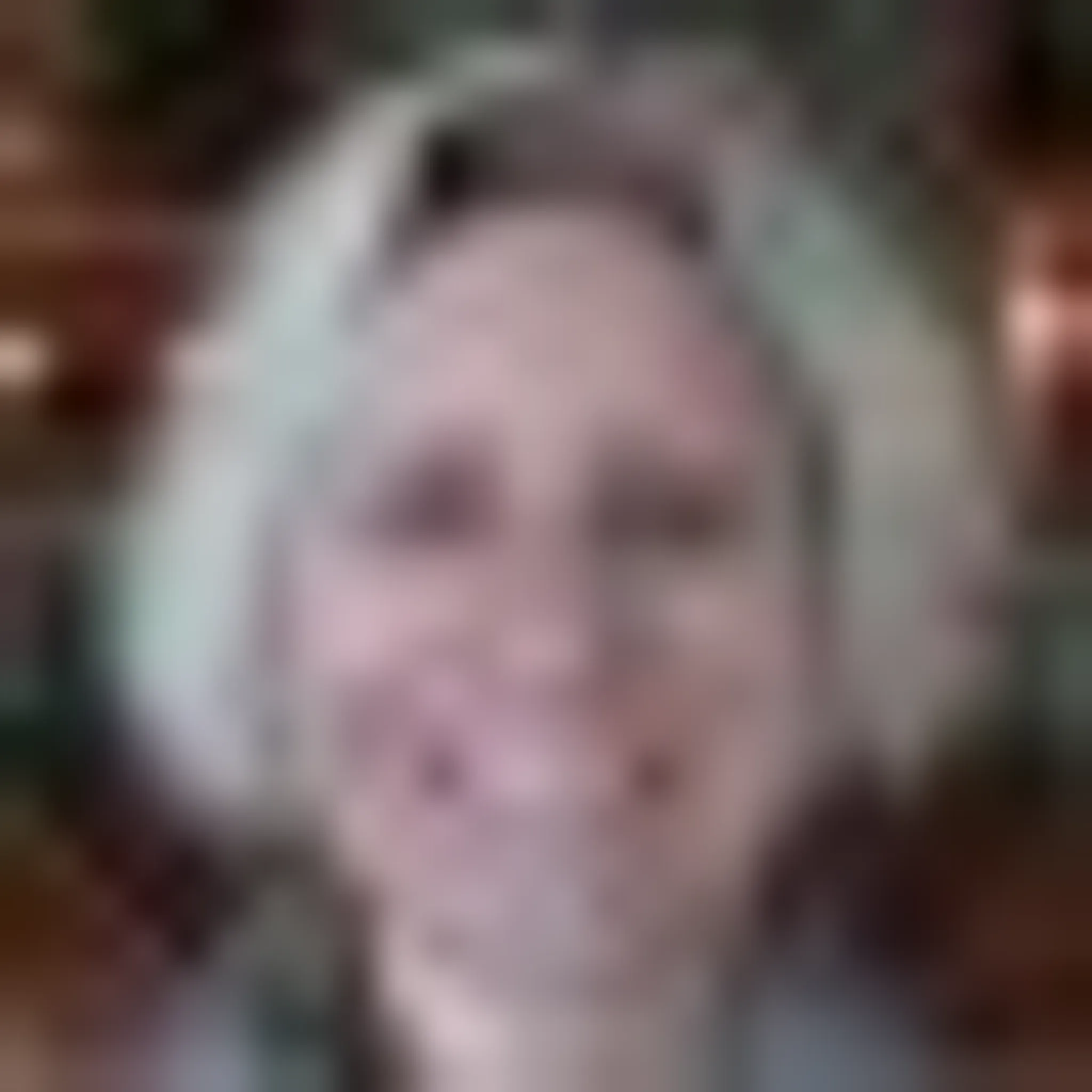 The Nordic Center Vattay