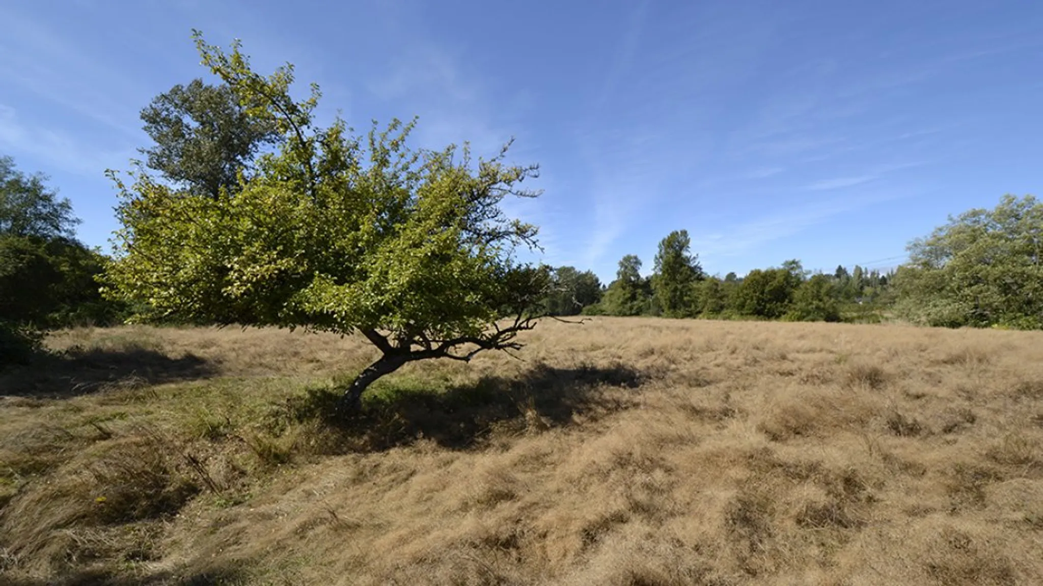 Guildford Community Skate Park