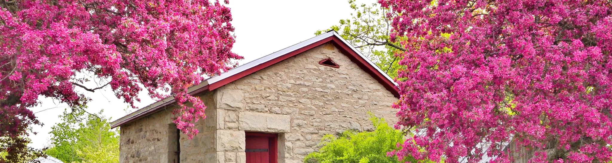 Centennial Pool Summer Swimming Program