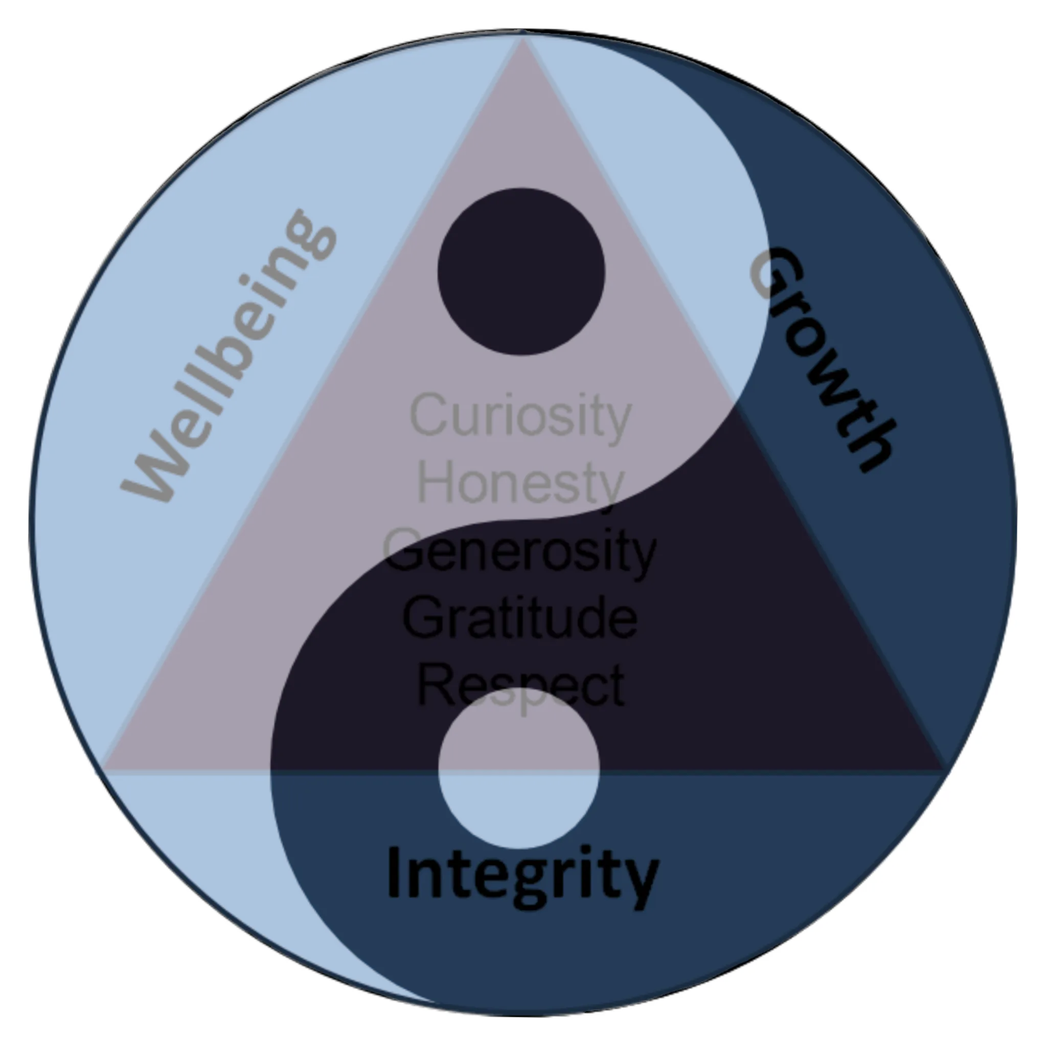 Isshinkai Aikido London