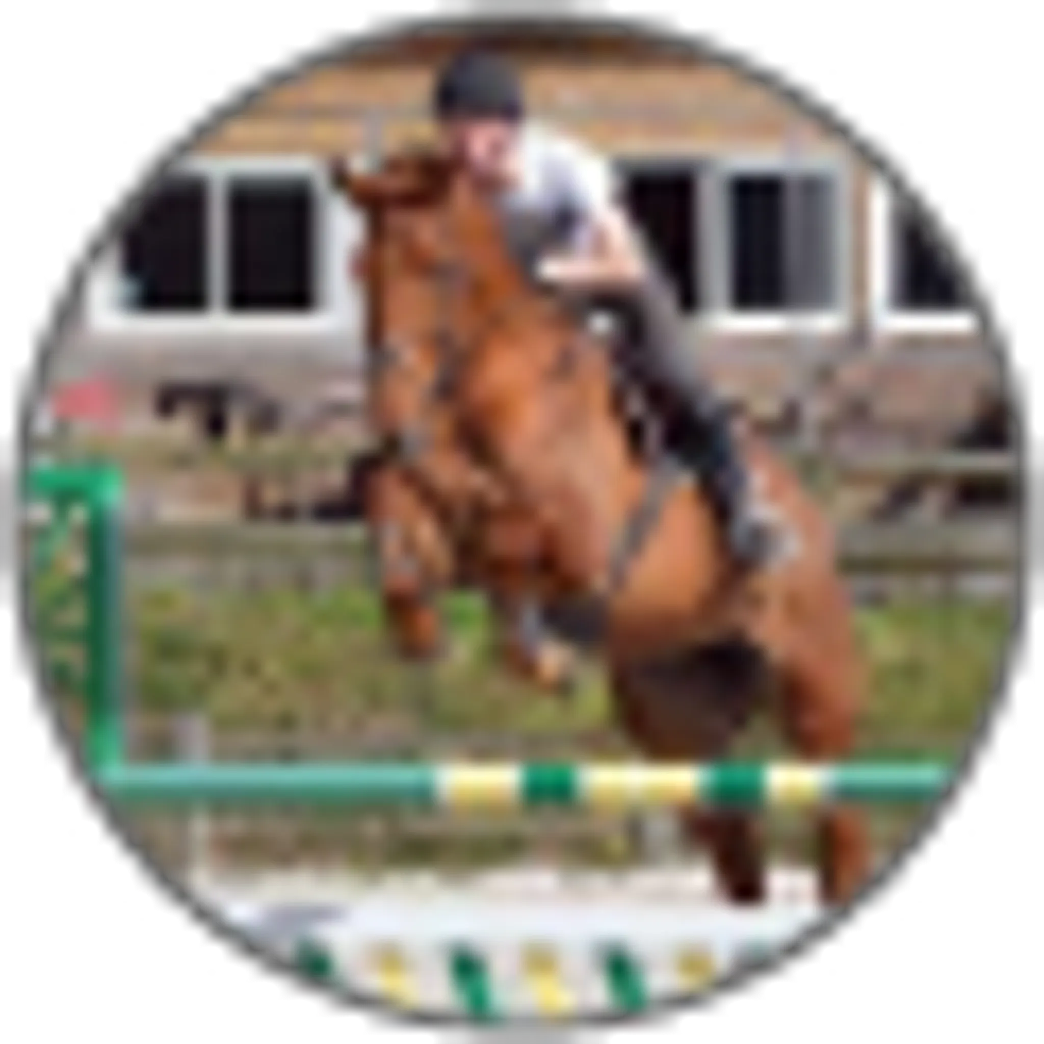 Equestrian Center Du Val De Sienne