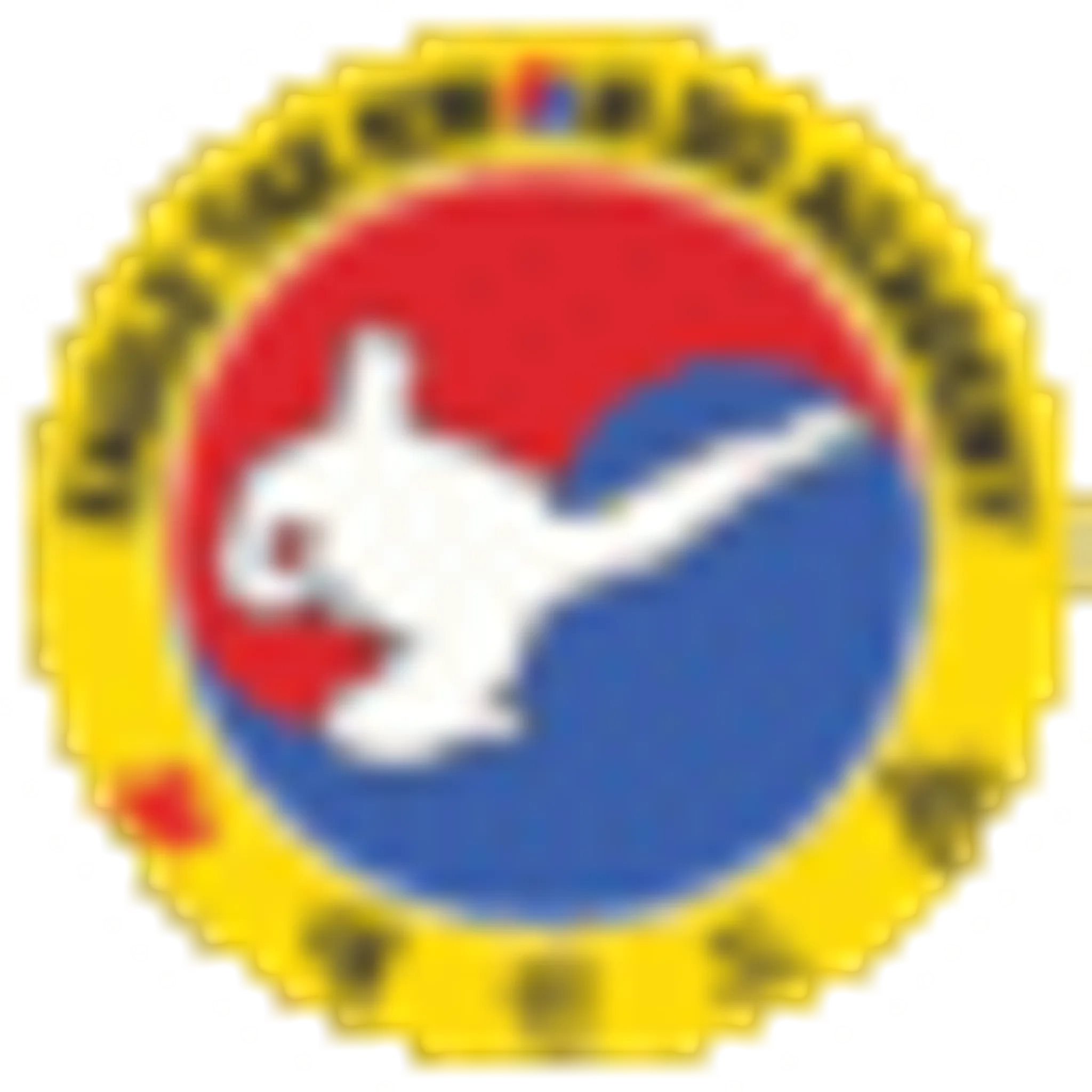 Eagle TaeKwonDo Academy - Toronto Martial Arts Club