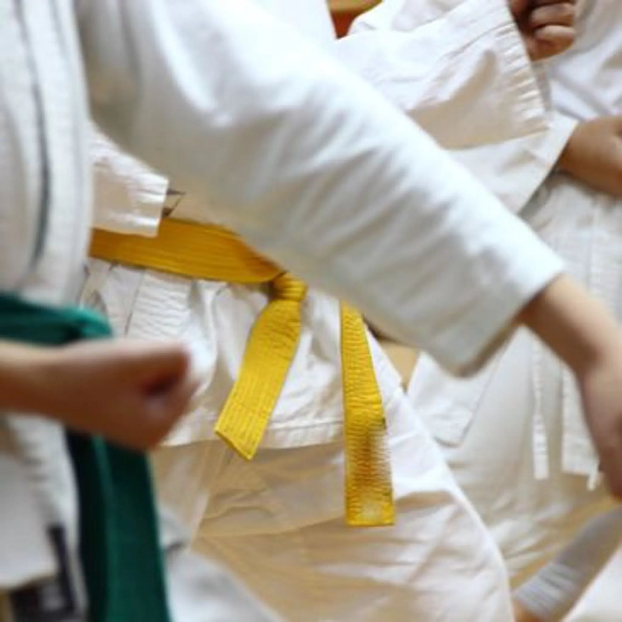 white tiger karate academy