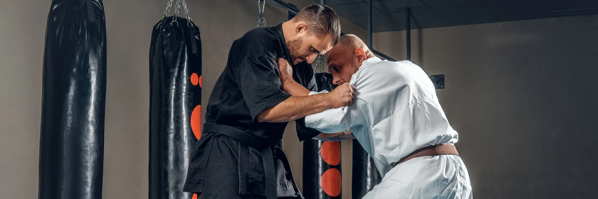 Australasian Aikikai Inc Niagara Park