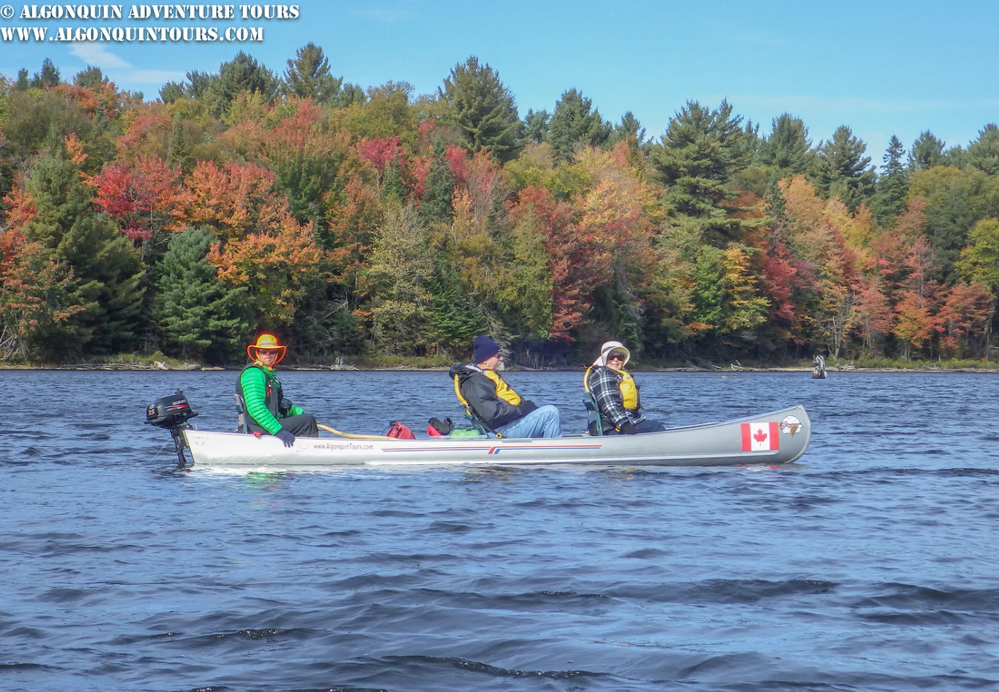 Algonquin Park 3h Guided VIP Electric Canoe Day Trip Photography Tour
