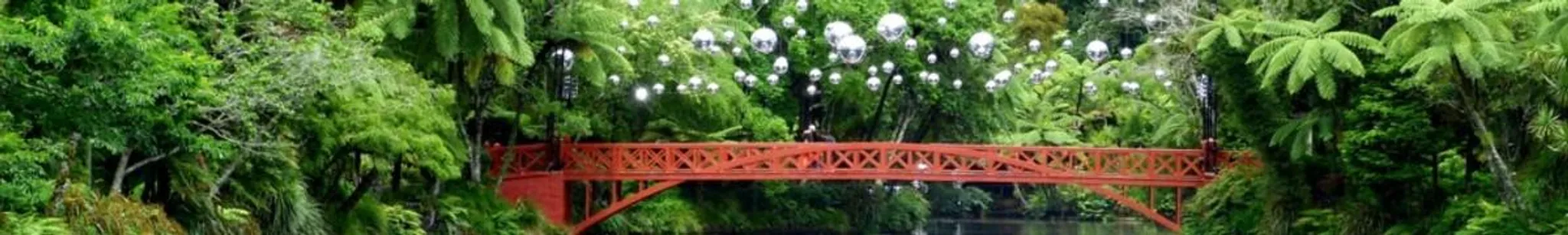 New Plymouth Bridge Club