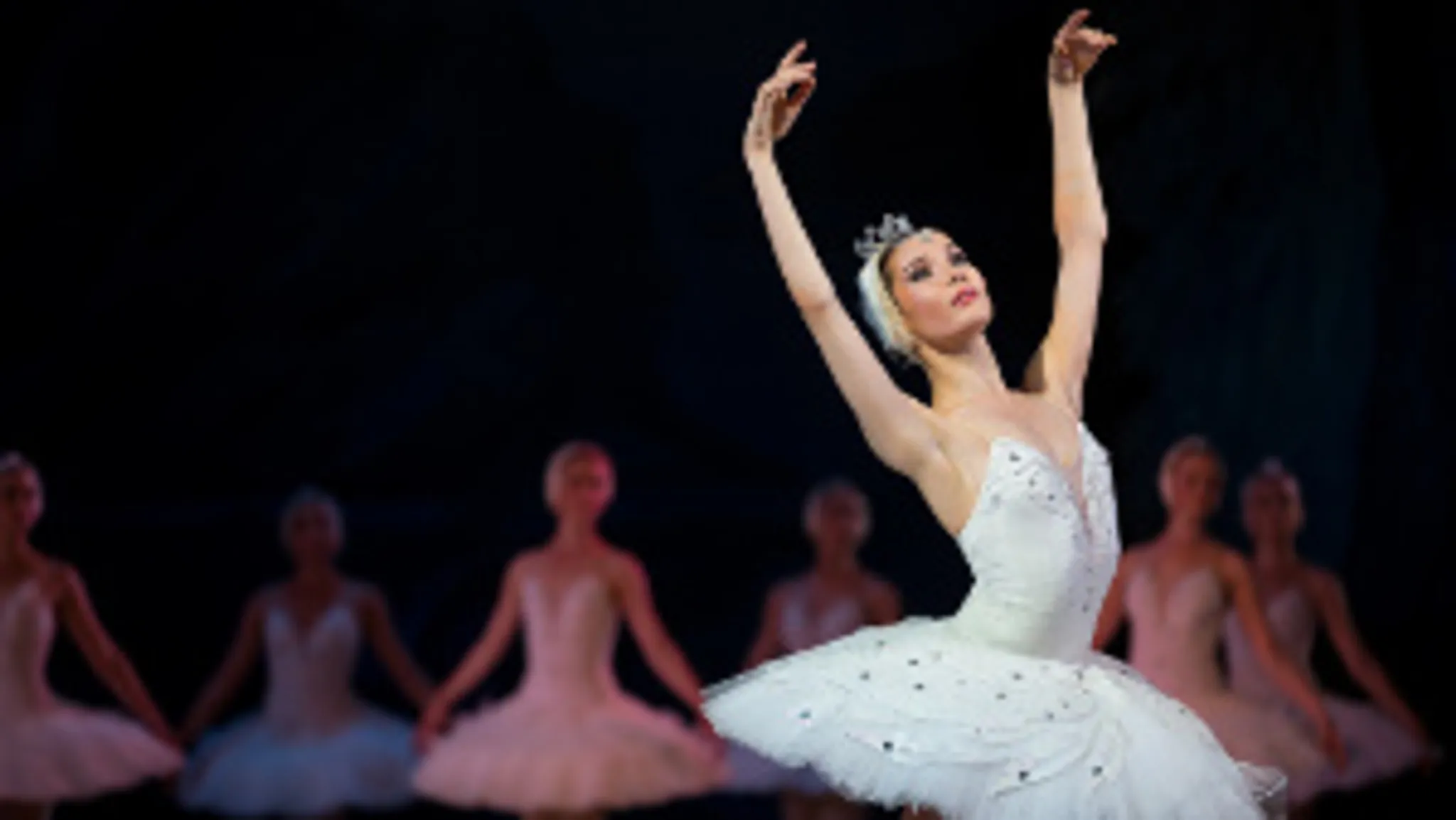 Dancebuzz: Adult Ballet Classes