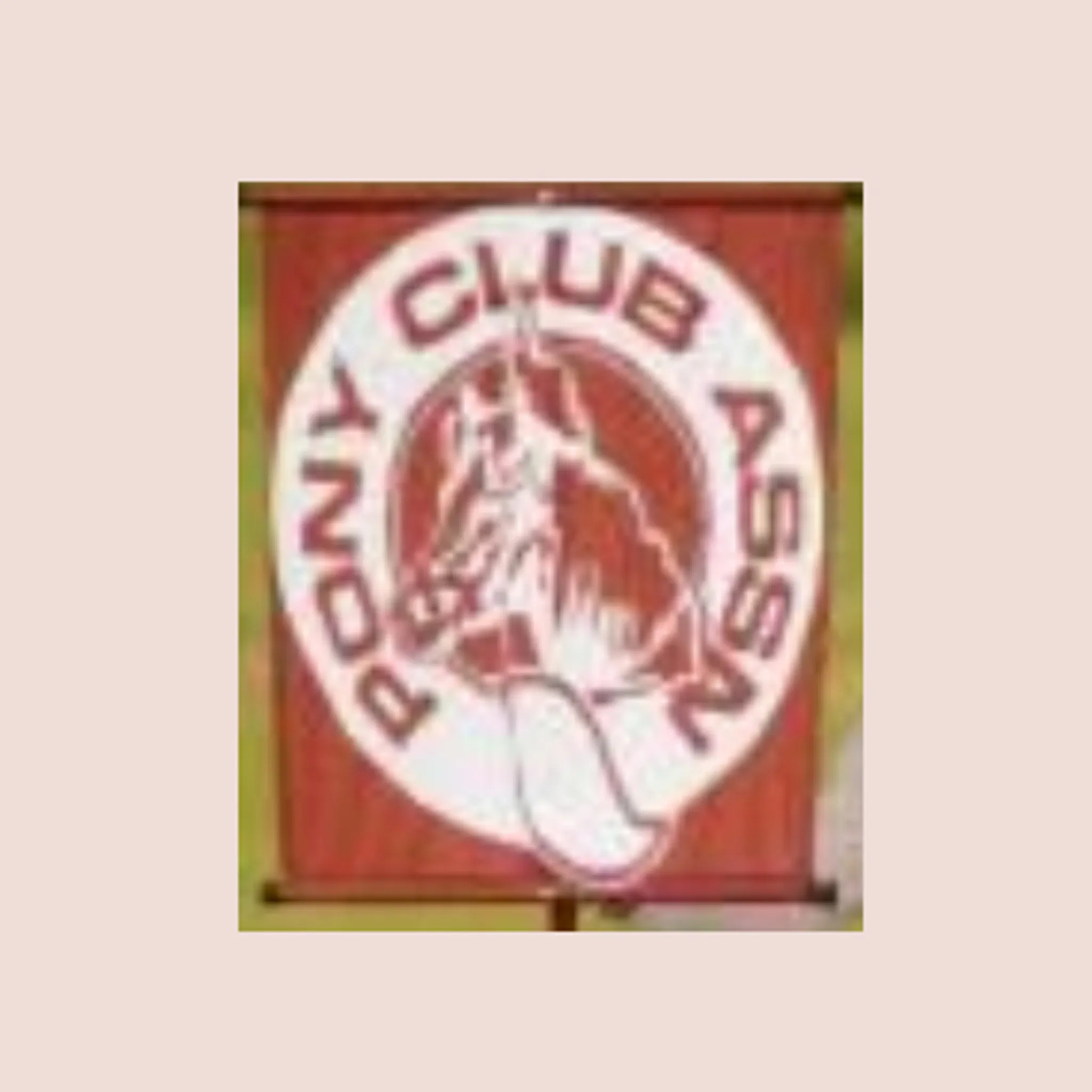 Alton Downs Pony Club