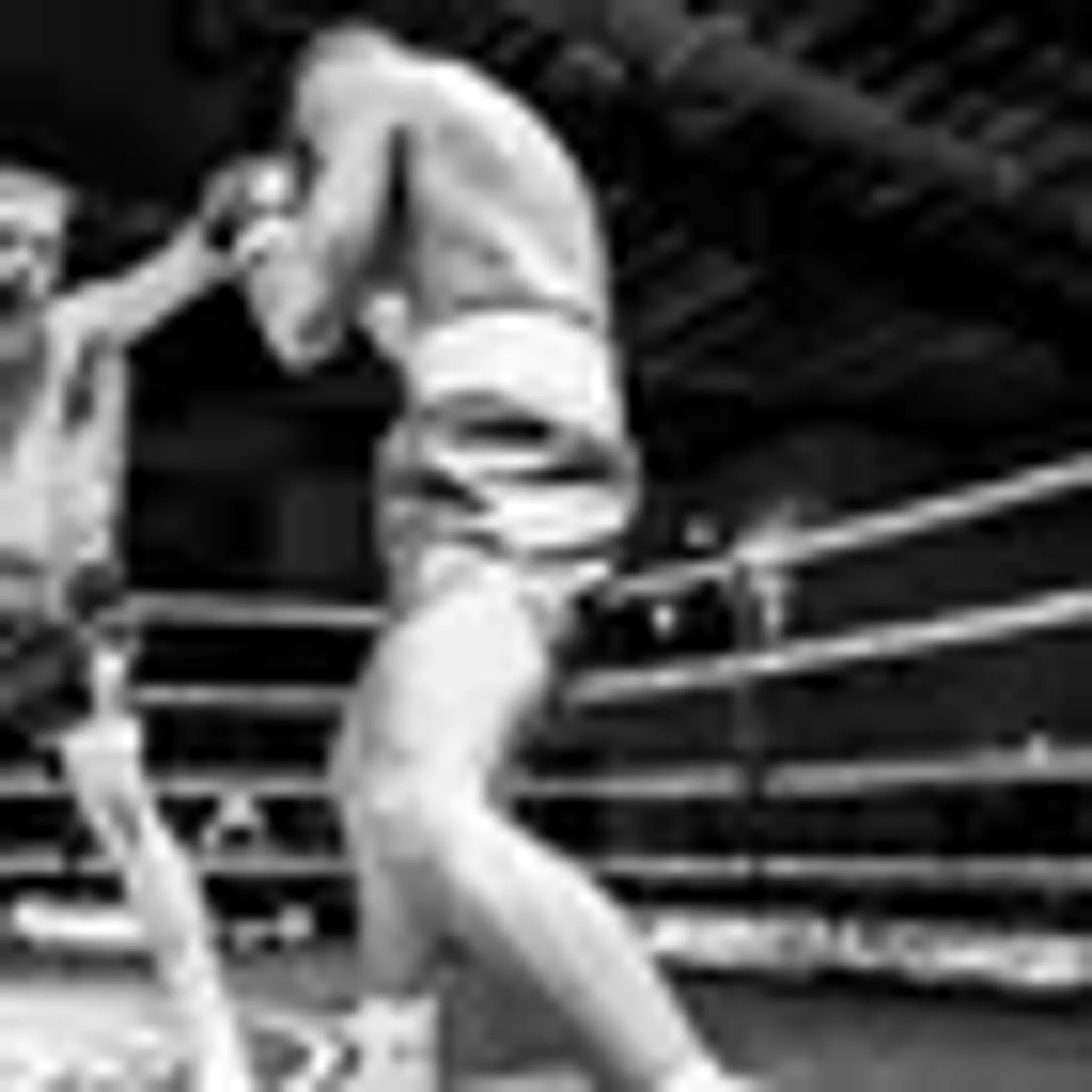 The Barn Boxing & Fitness