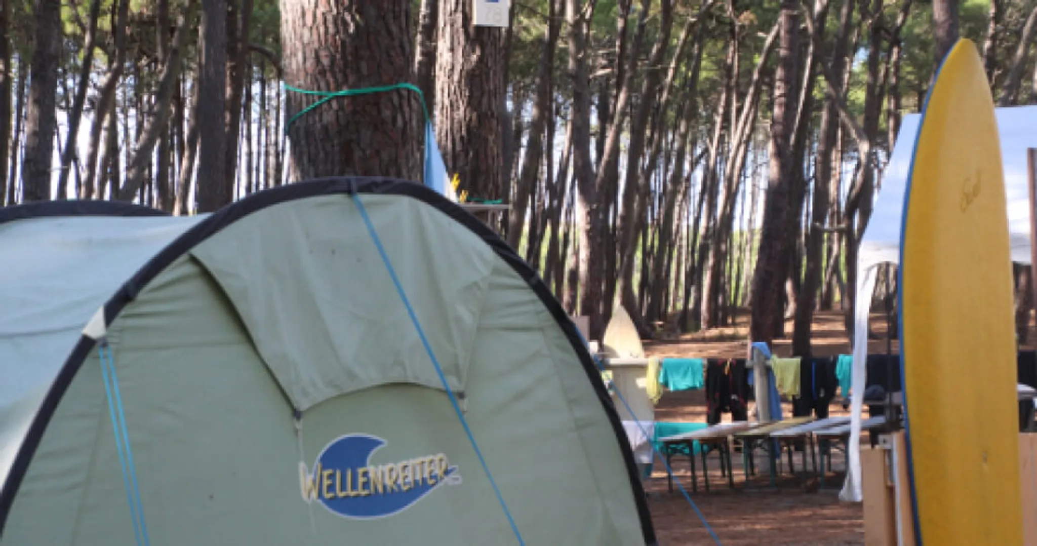 Wellenreiter Camp Contis Plage
