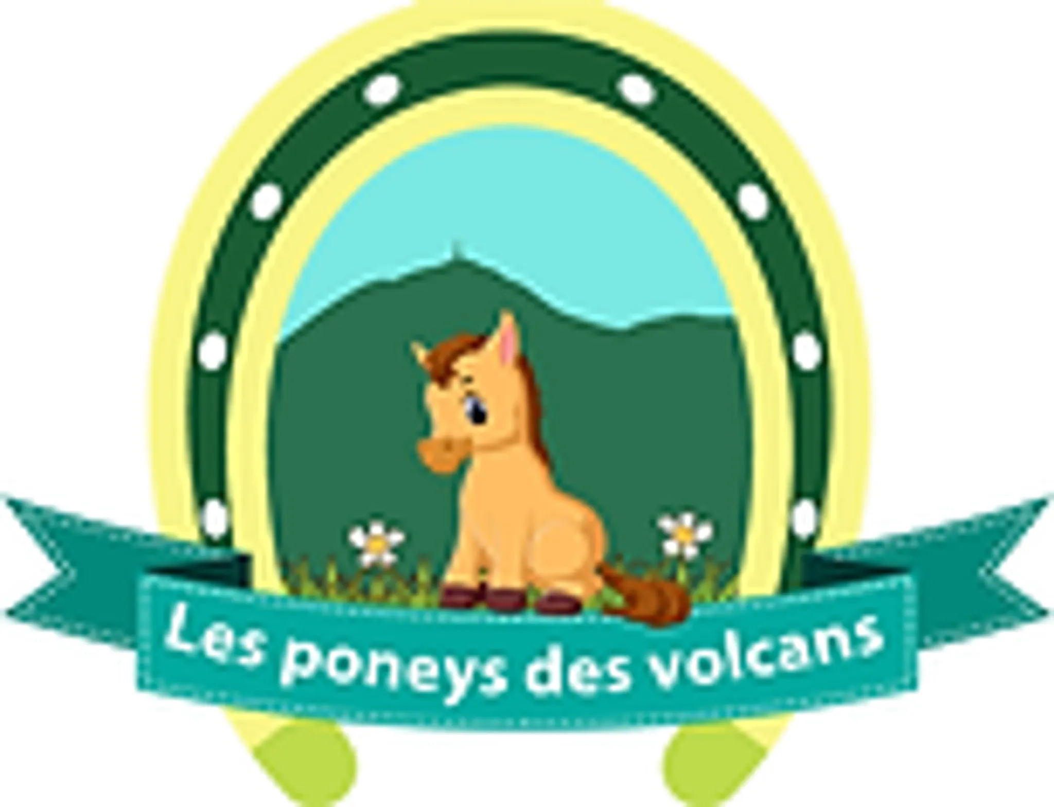 Les Poneys Des Volcans