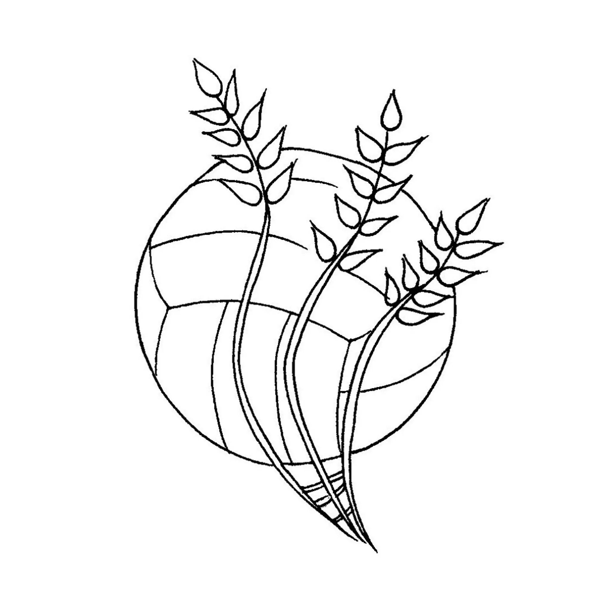 Central Wheatbelt Netball Association