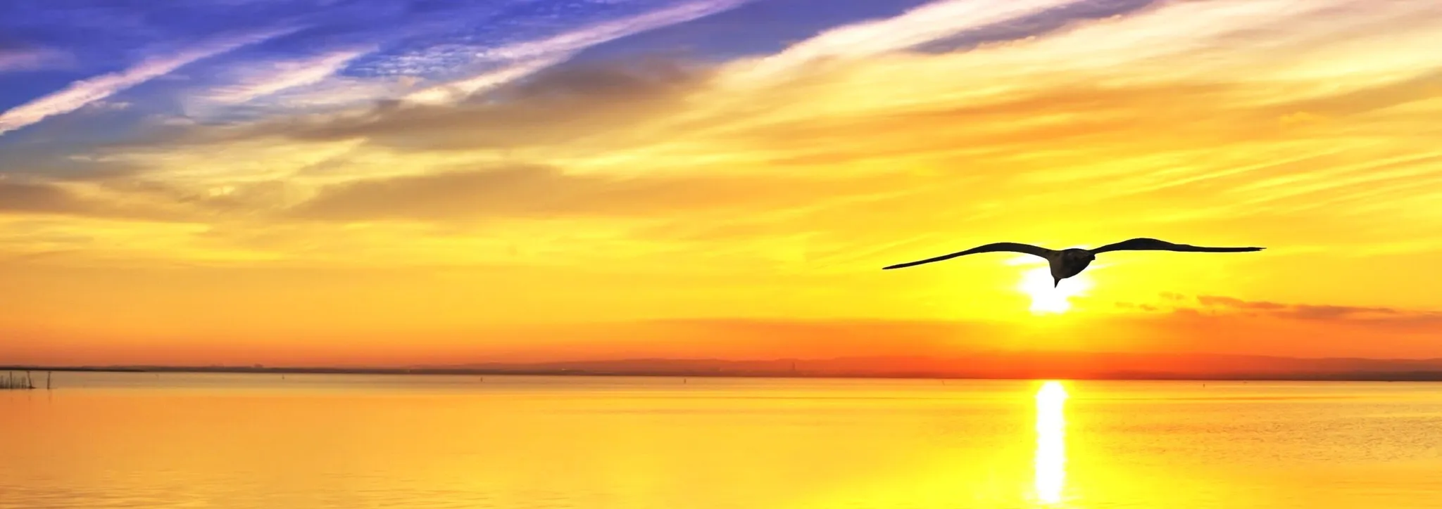 Breathe Into Life - Lift Yourself Up or Settle Yourself Down at Will