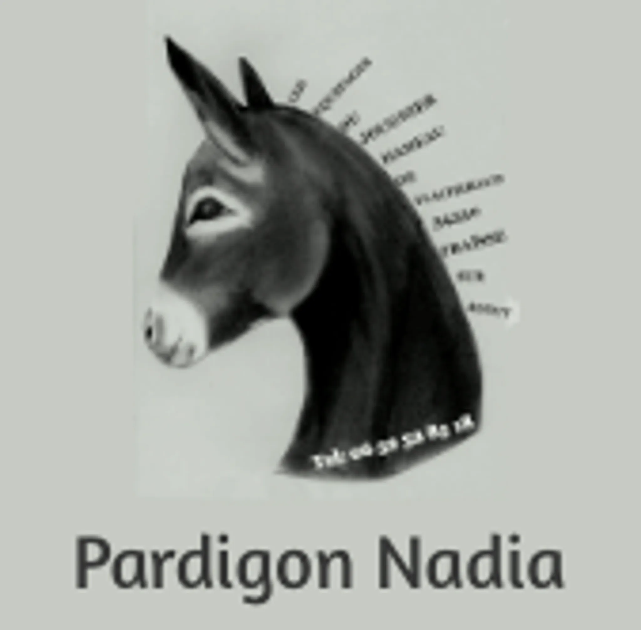 Pardigon Nadia Les Équipages Du Jougnier