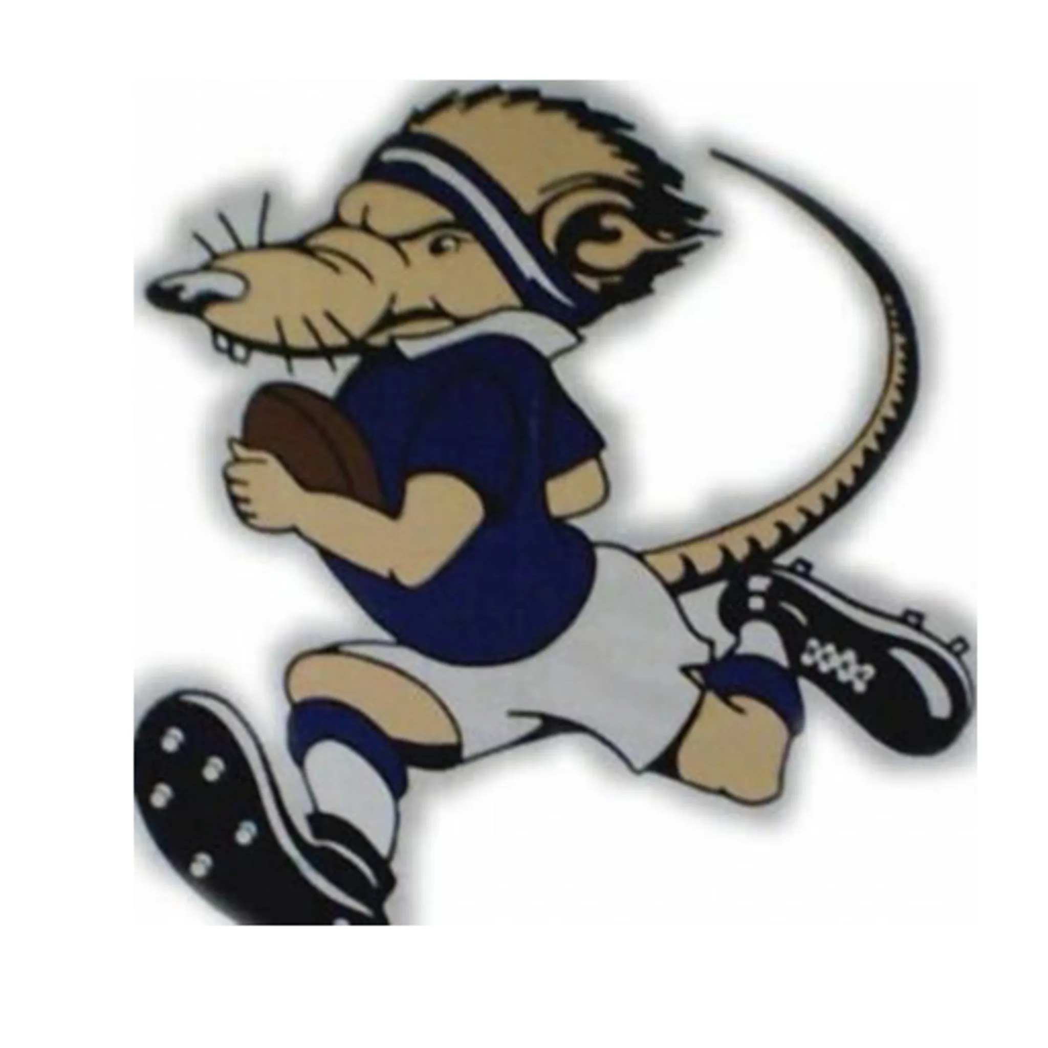 Manning River Ratz Rugby Union Football Club