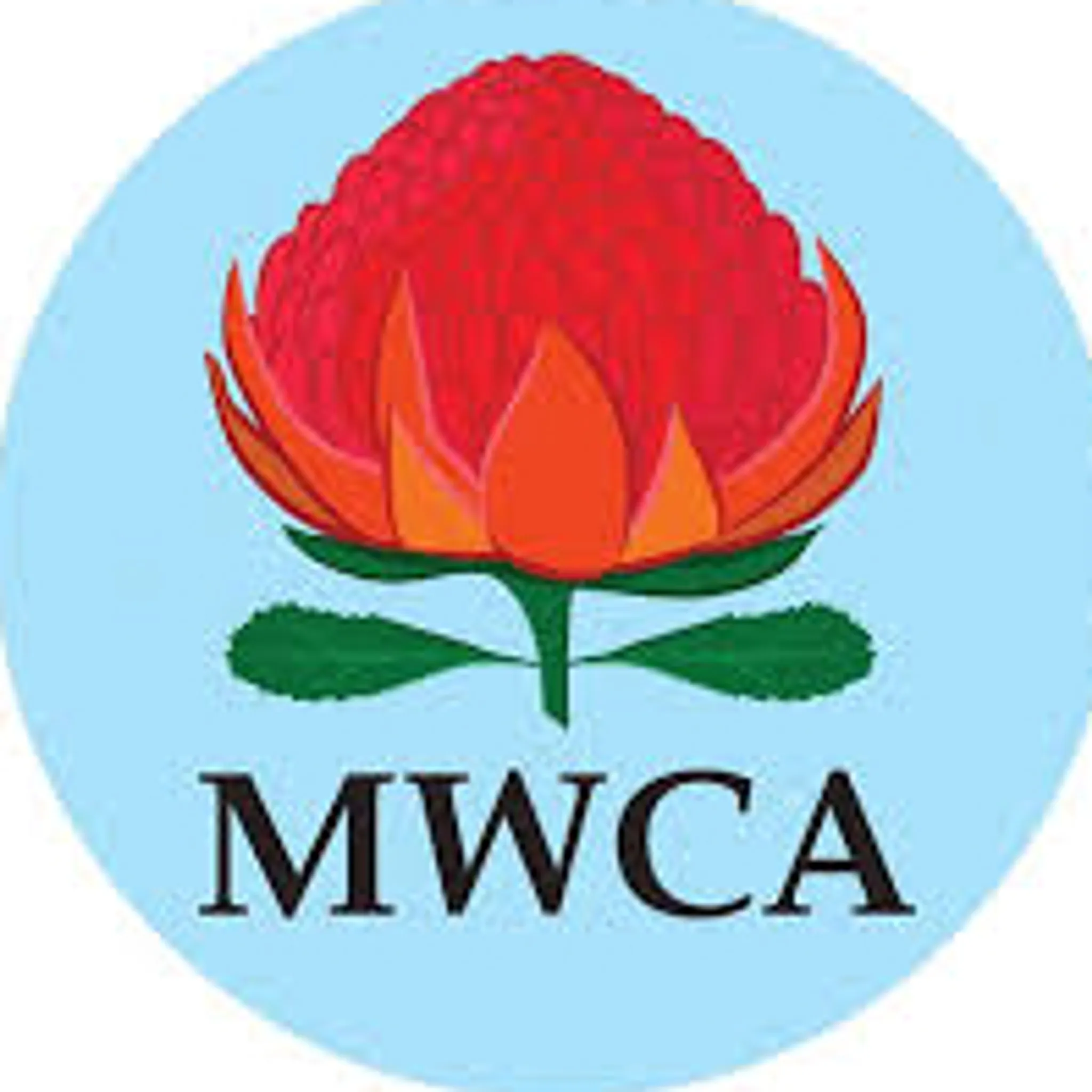 Manly Warringah Cricket Association