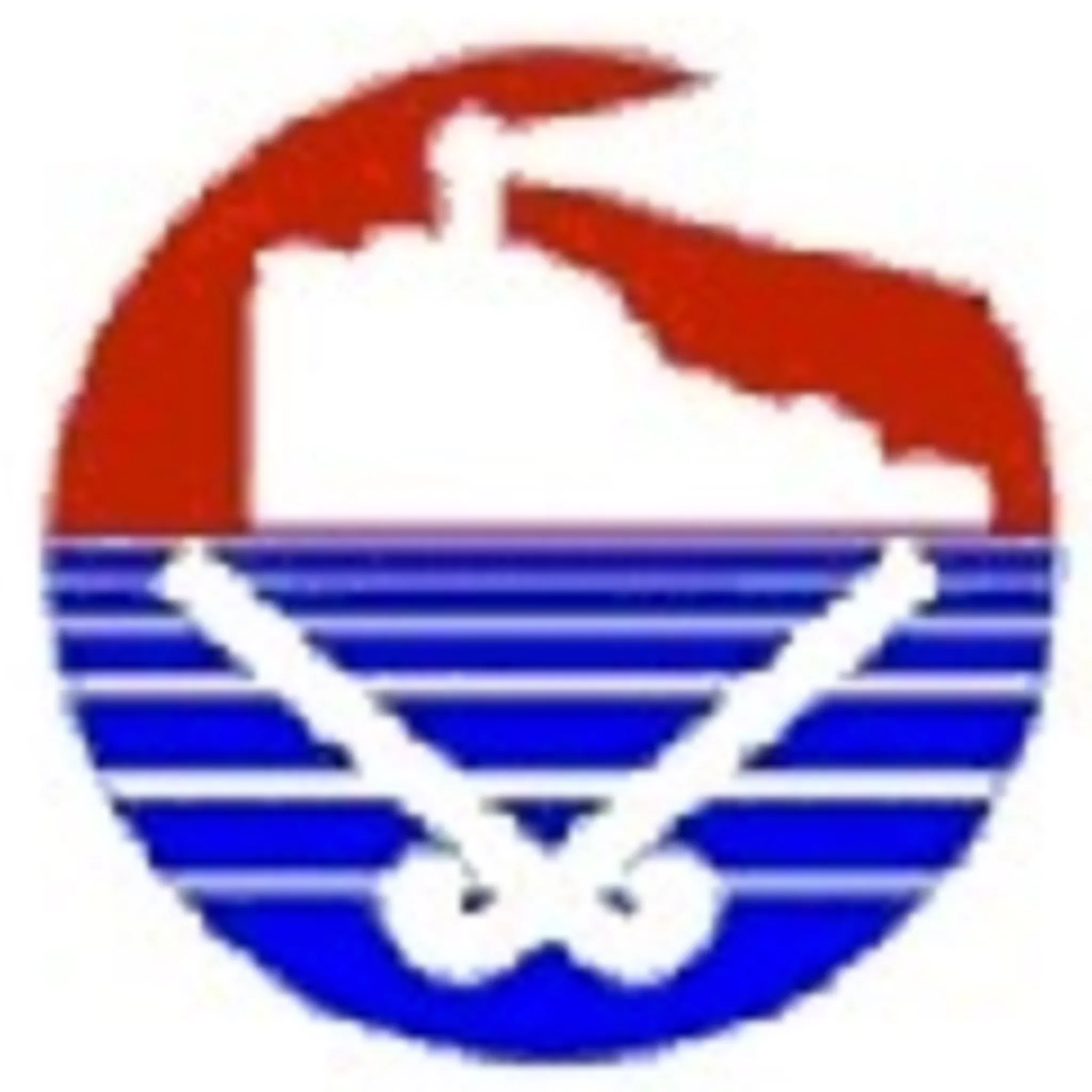 Newcastle Hockey Association