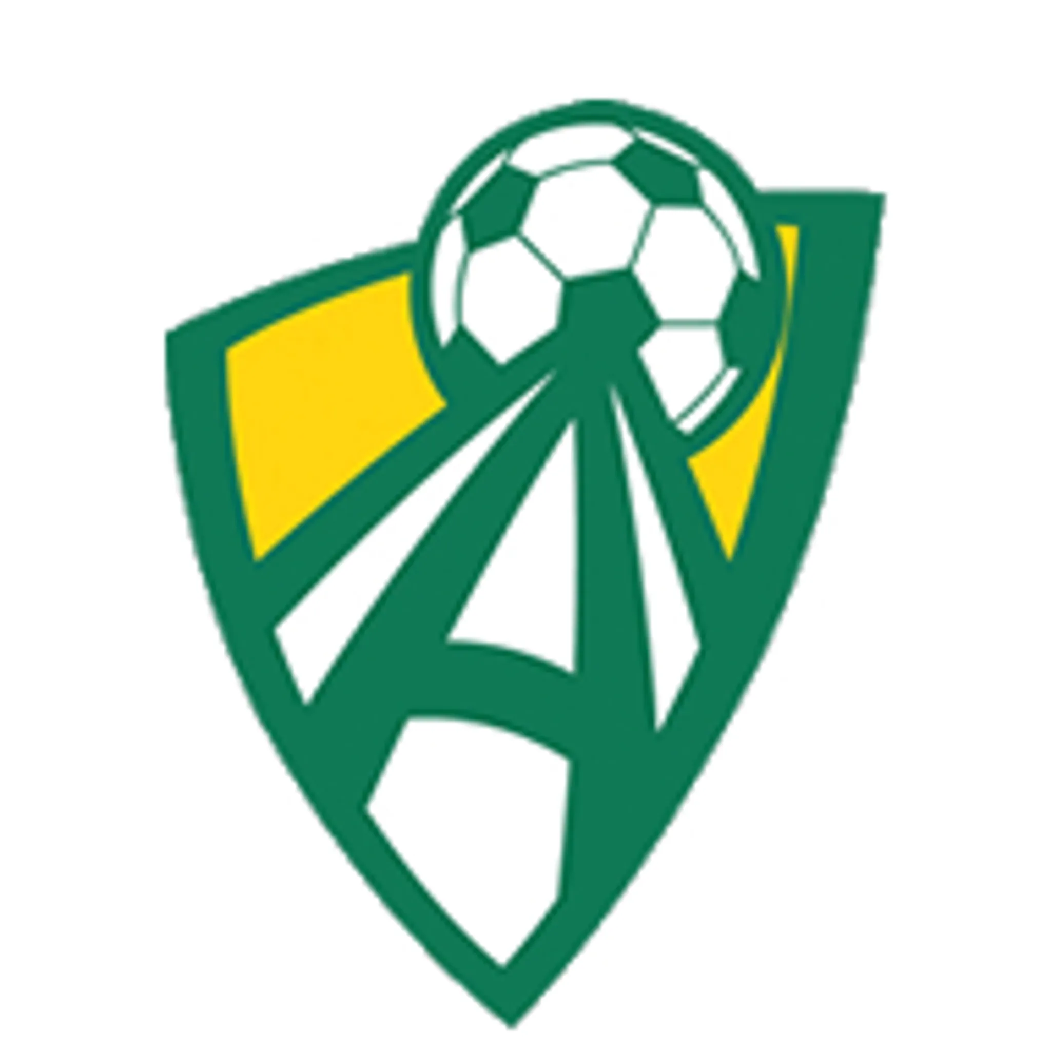 Ashburton United Soccer Club