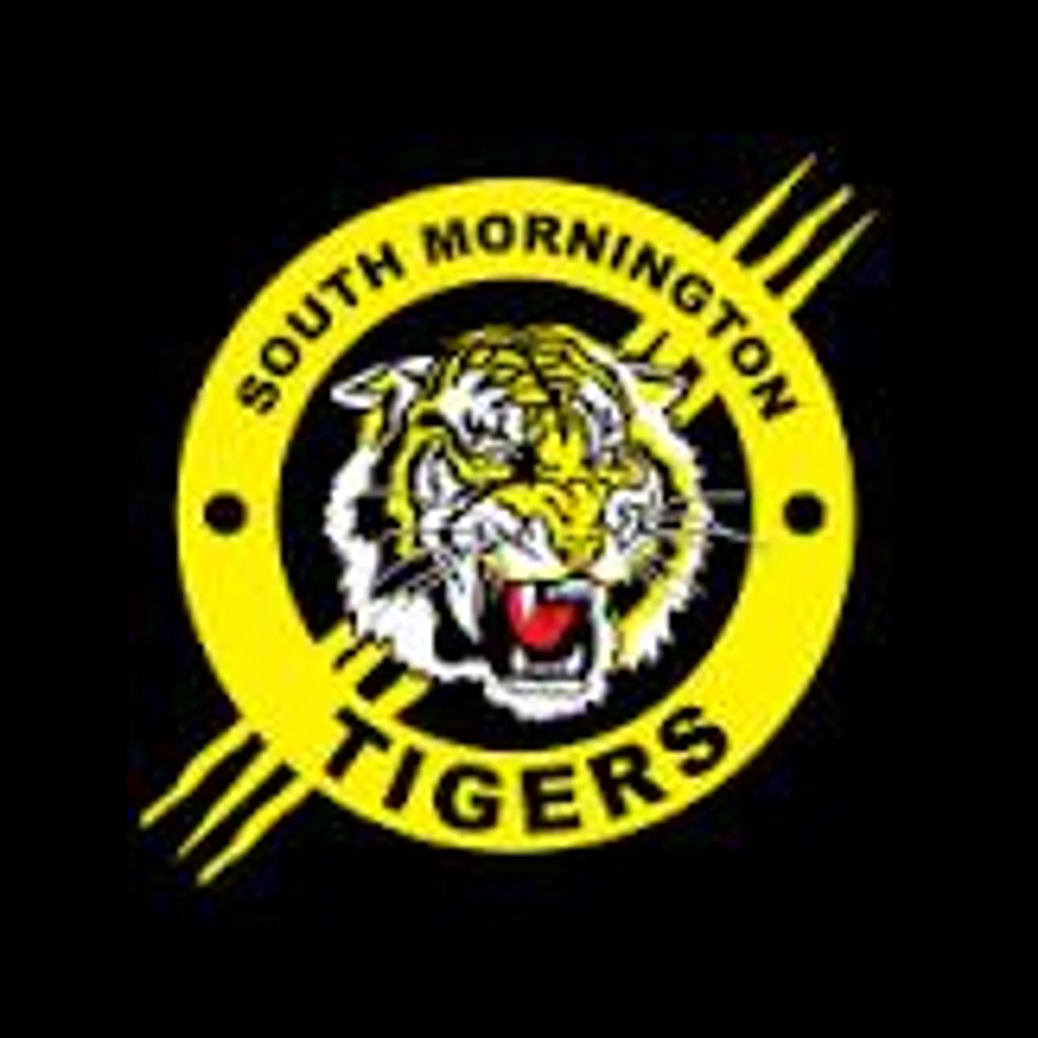 South Mornington Football Club
